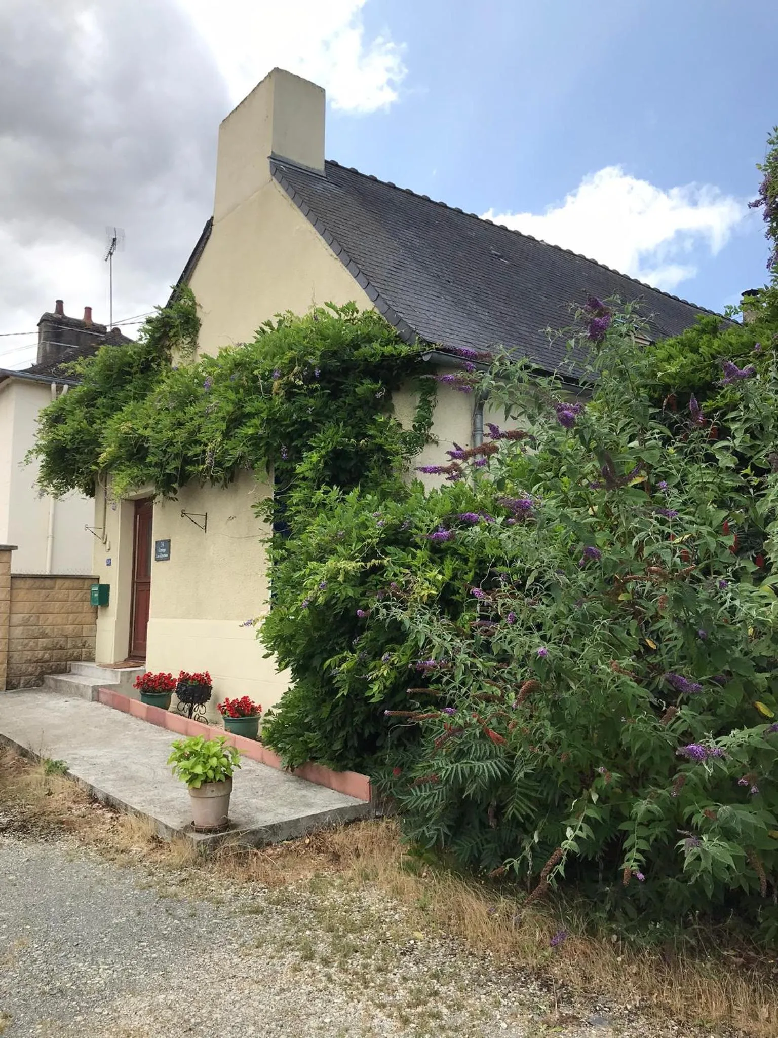 Property building in Cottage Les Glycines
