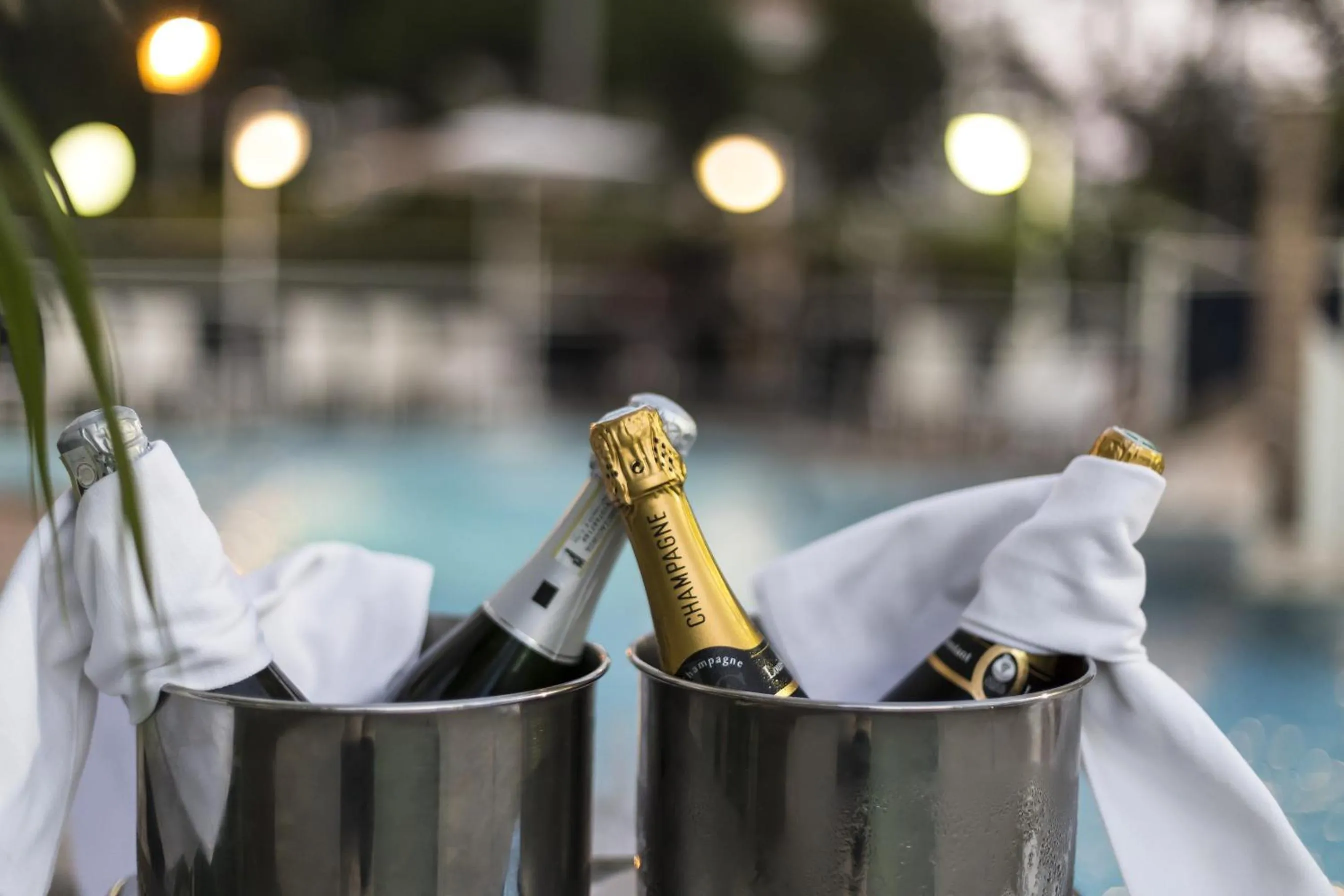 Food and drinks in Hotel Abner's