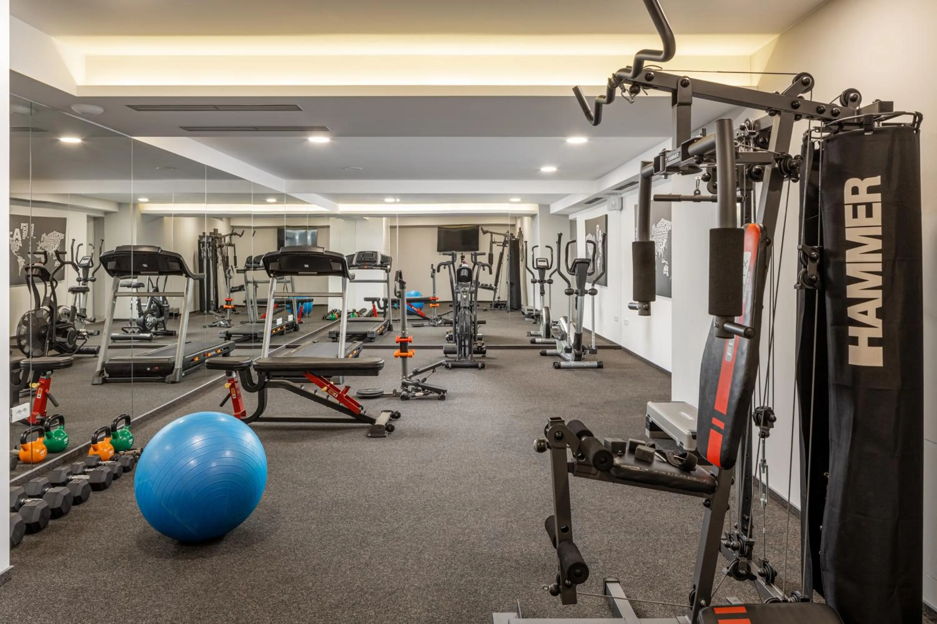 Fitness centre/facilities in VIPo Prestige Apartments