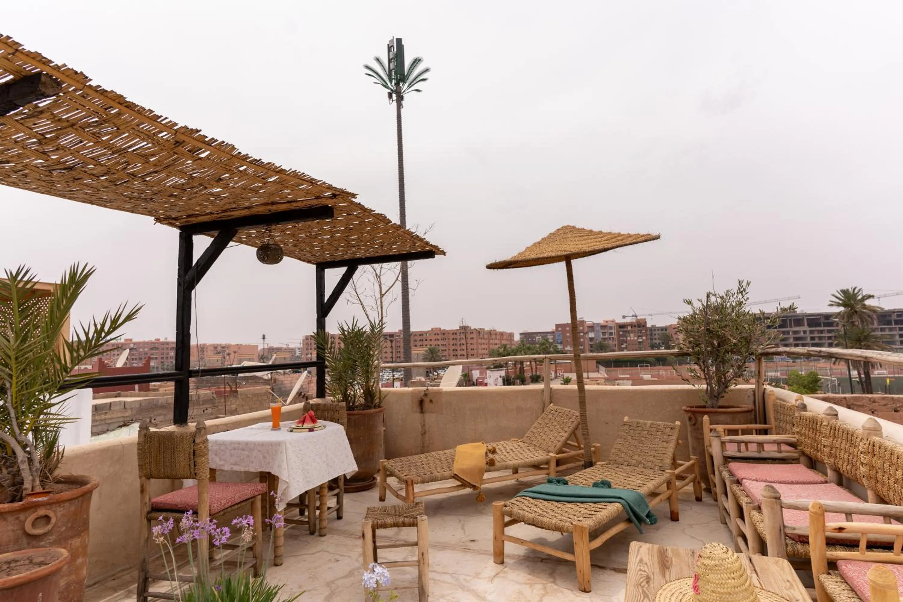 View (from property/room) in Riad Shambala