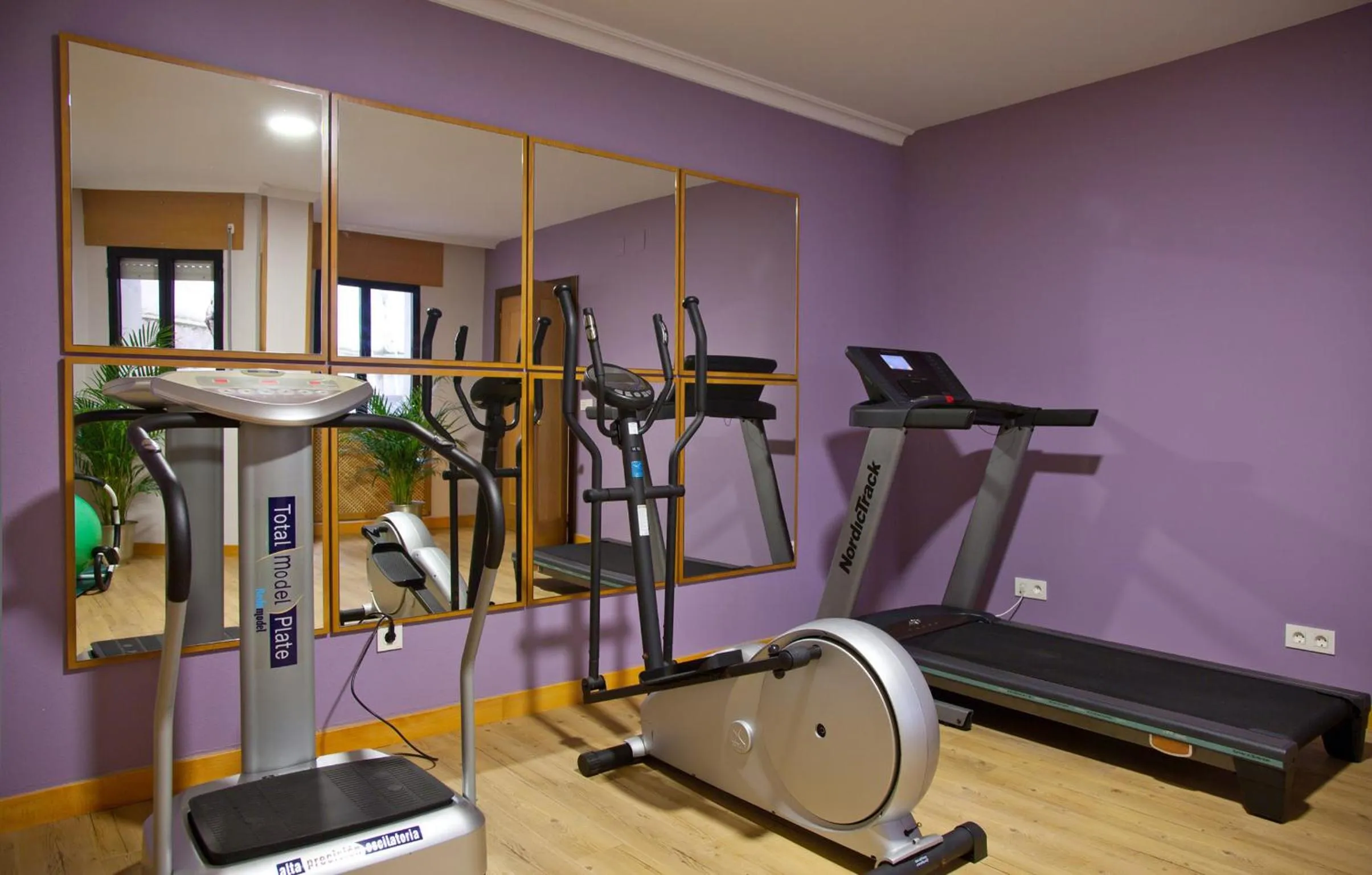 Fitness centre/facilities in Hotel Palacio de Cristal