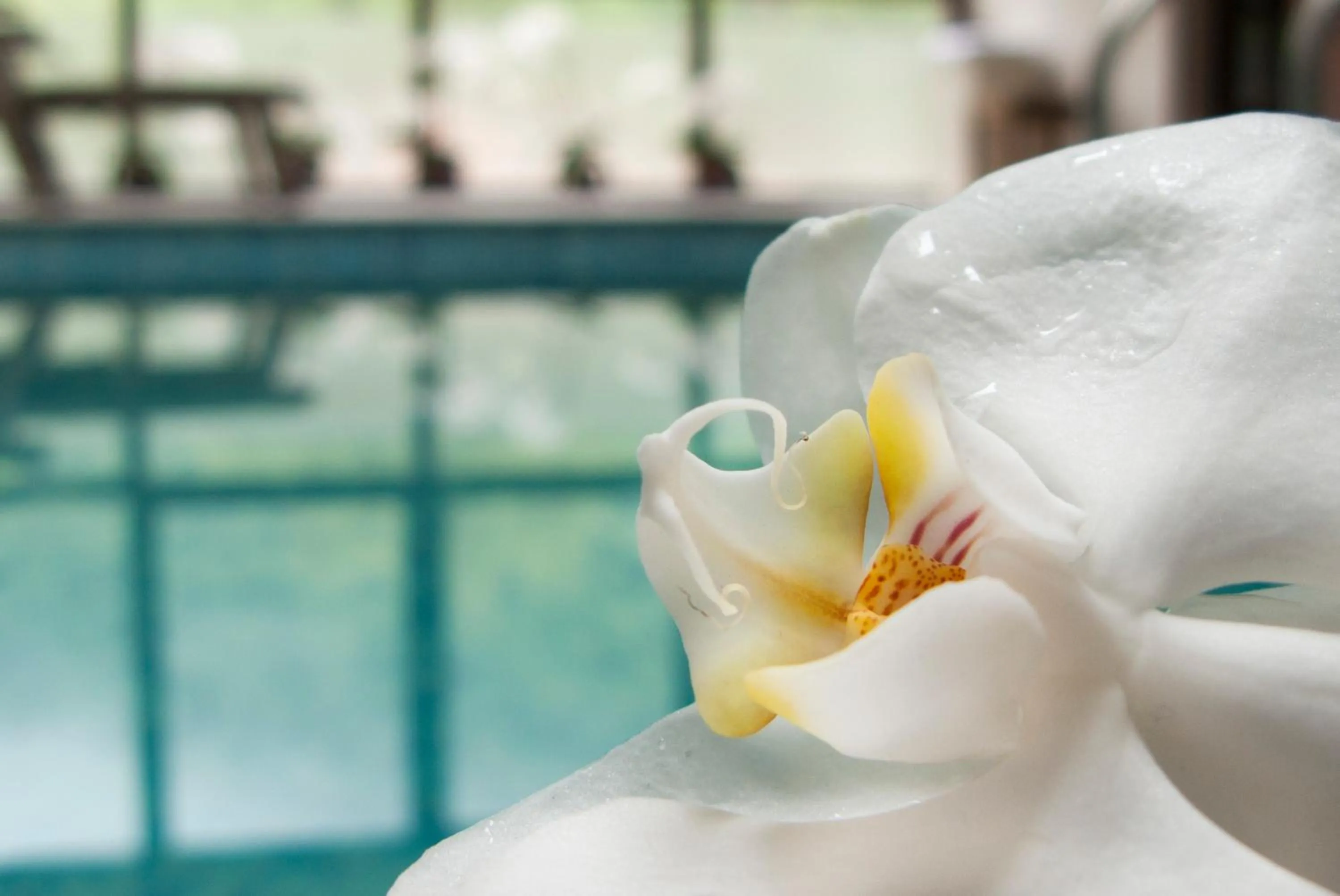 Hot Spring Bath in Aqua Varvara Hotel