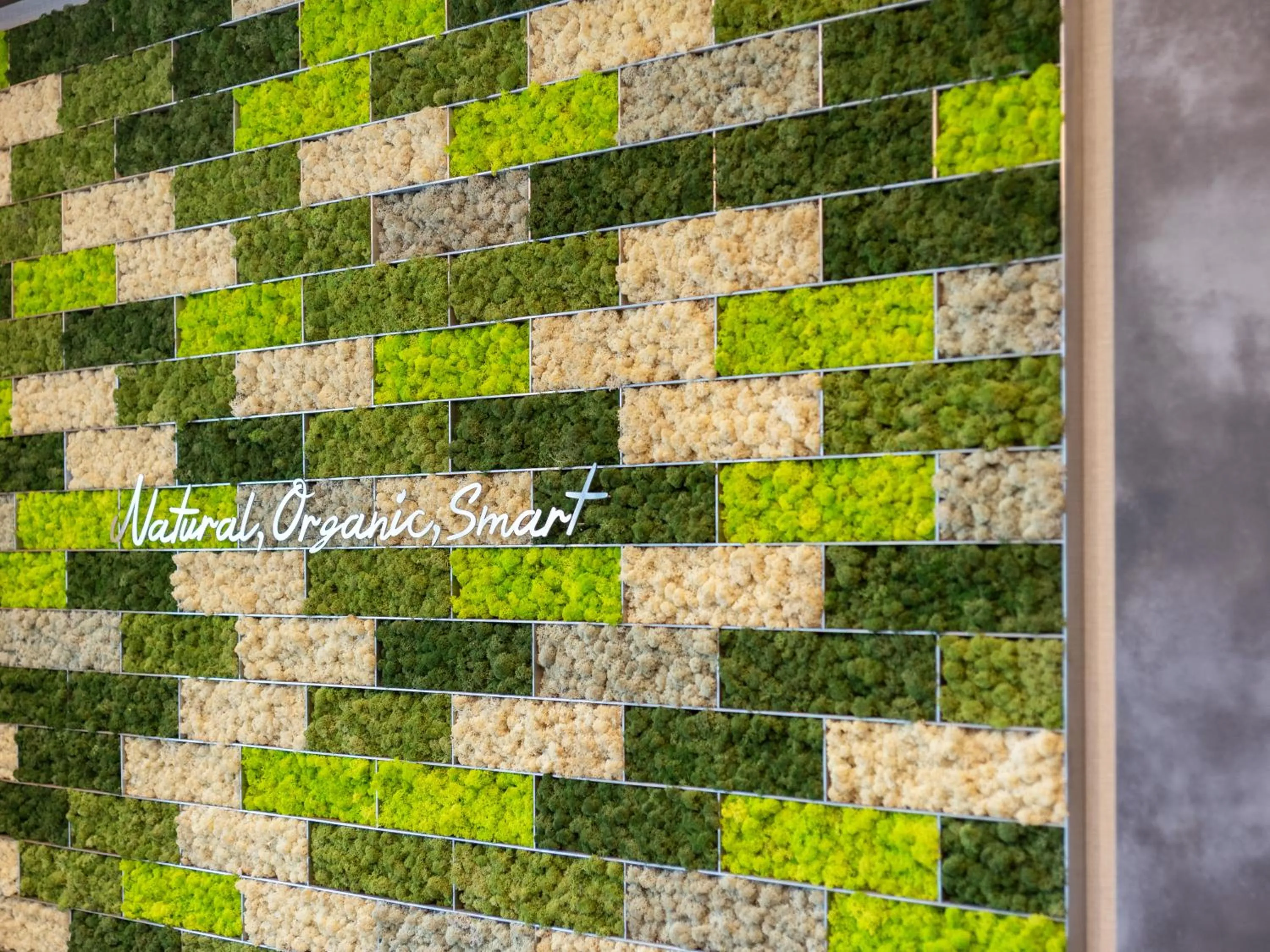 Decorative detail in Super Hotel Saitama Kawagoe