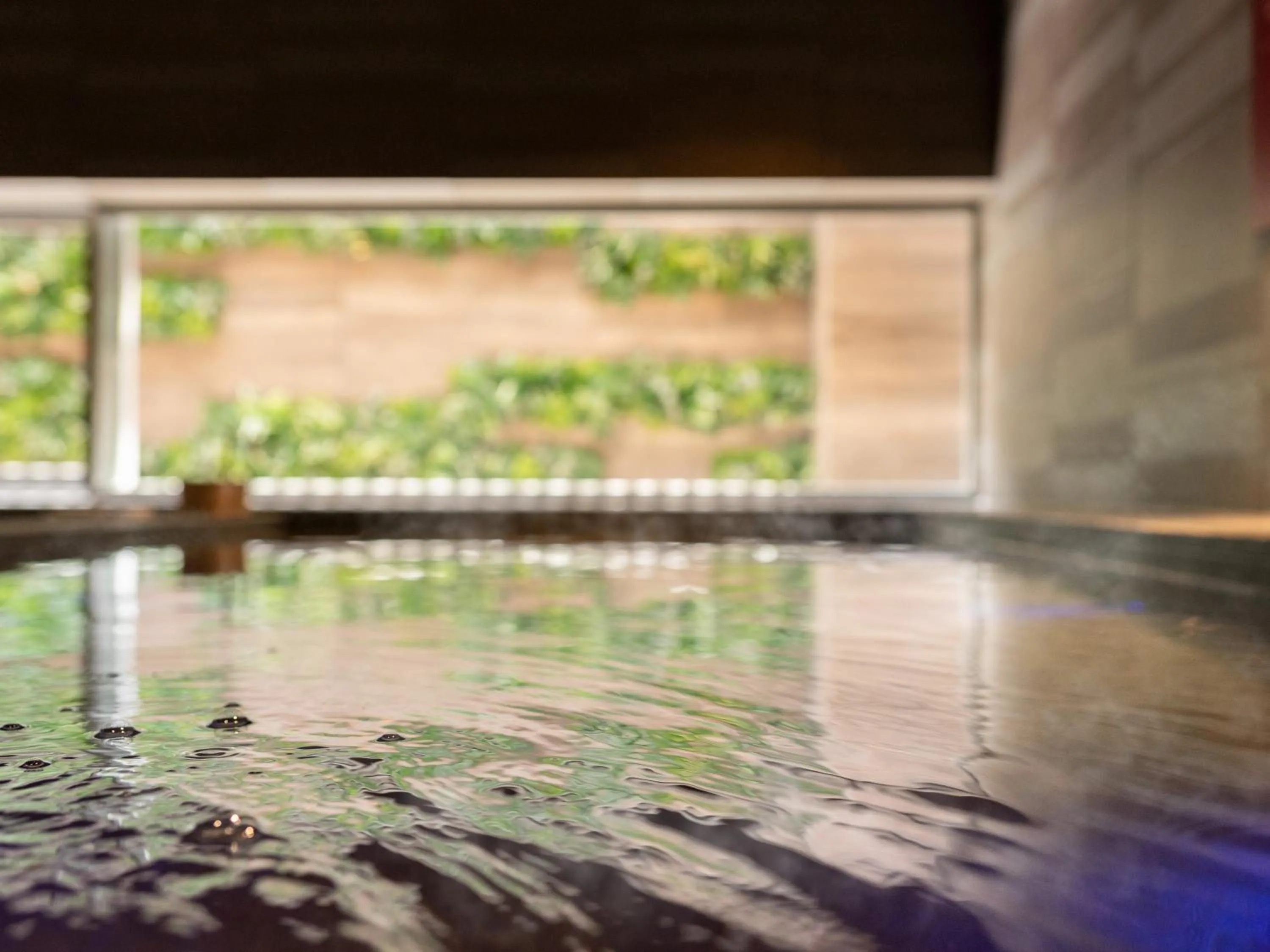 Hot Spring Bath in Super Hotel Saitama Kawagoe