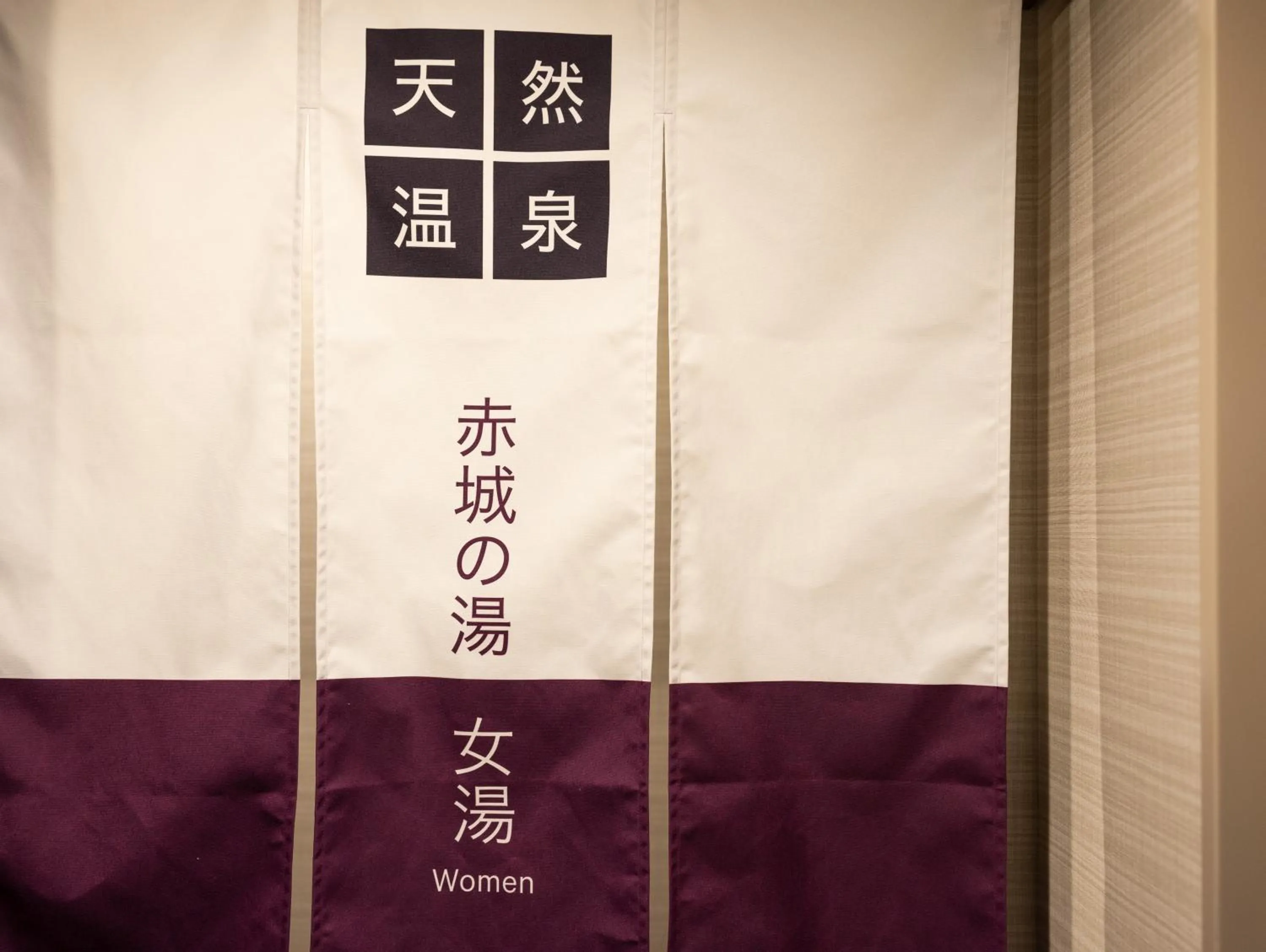 Hot Spring Bath in Super Hotel Saitama Kawagoe