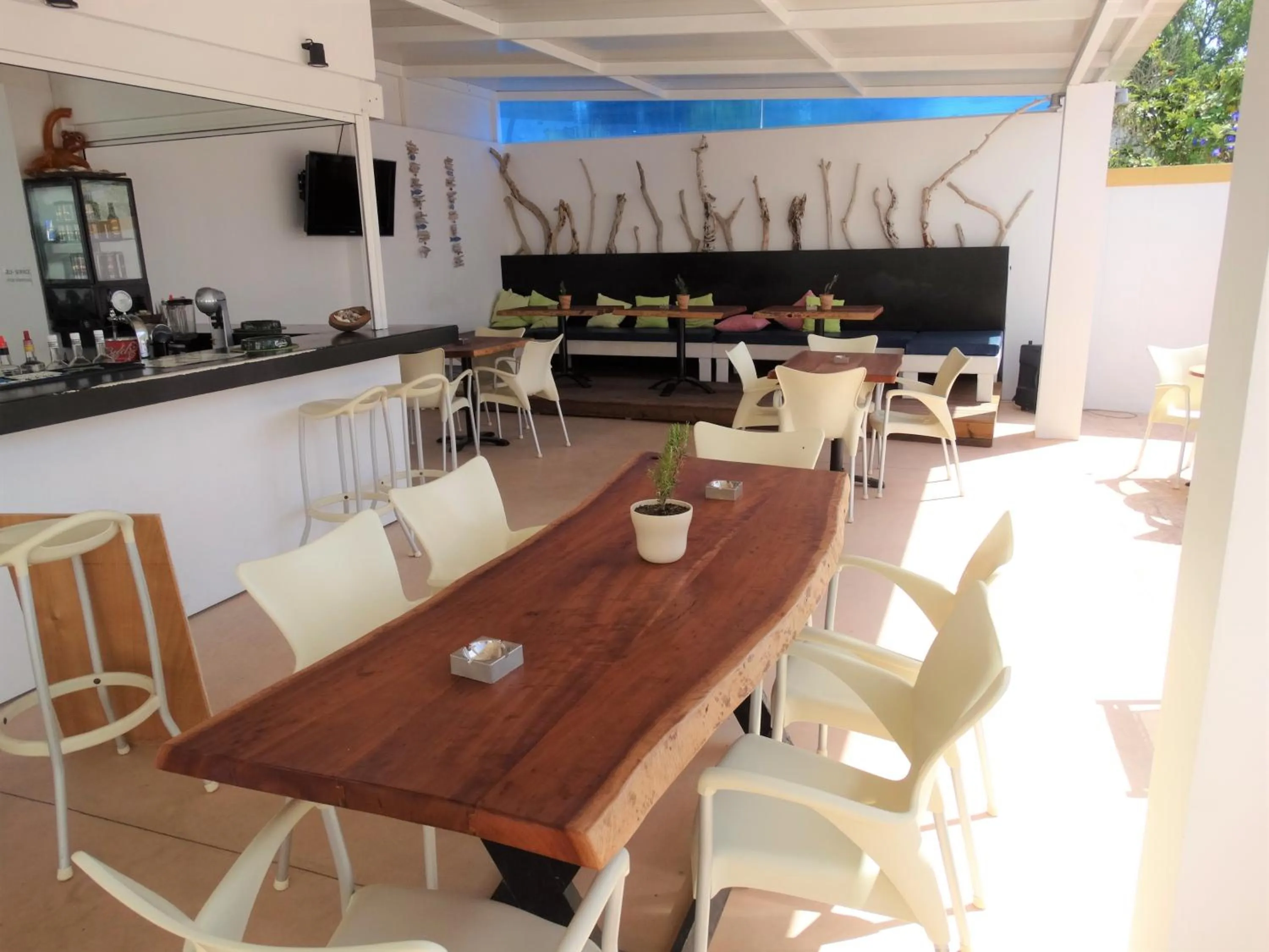 Restaurant/places to eat in Oasis Beach Club