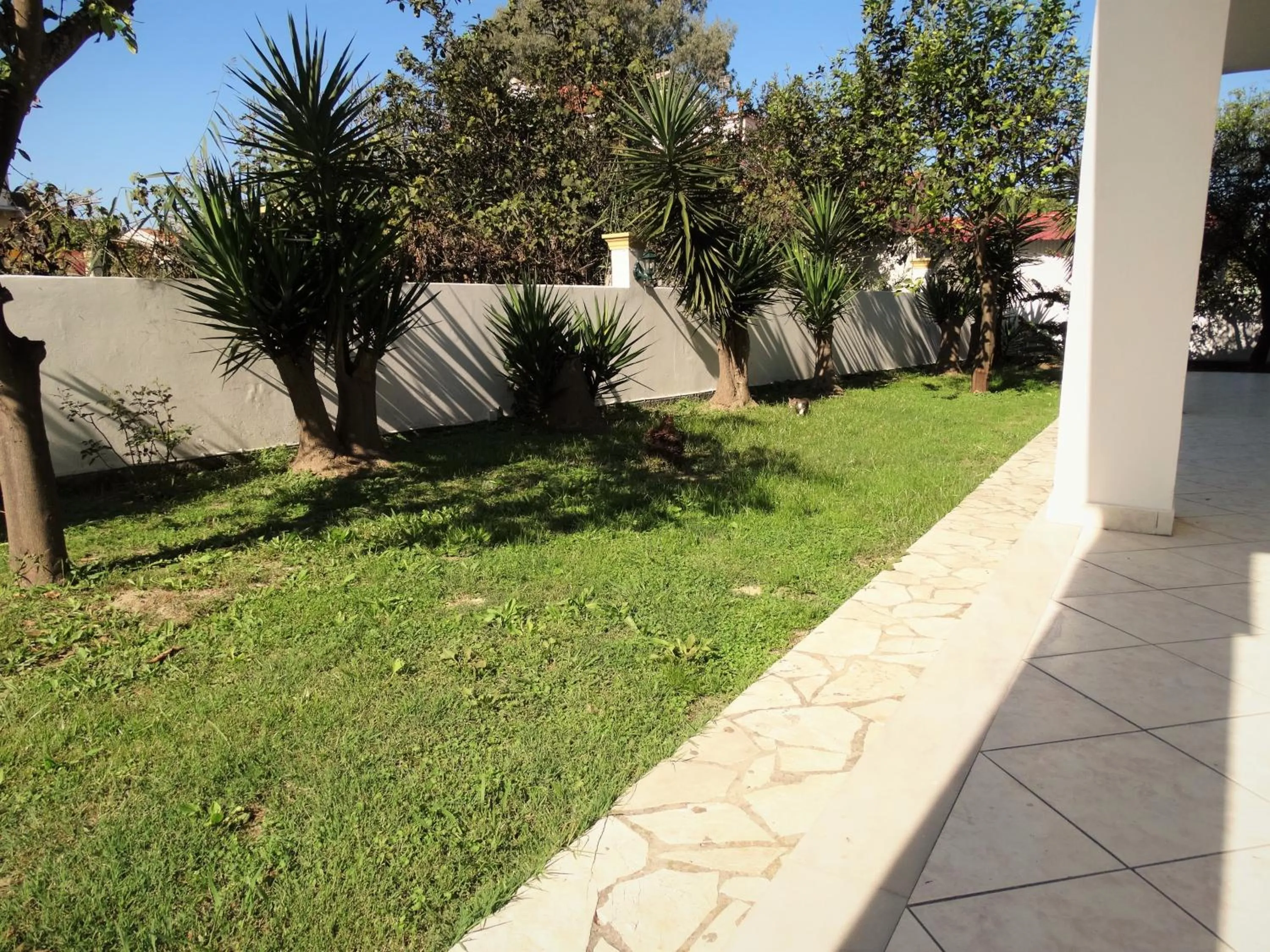 Property building in Oasis Beach Club