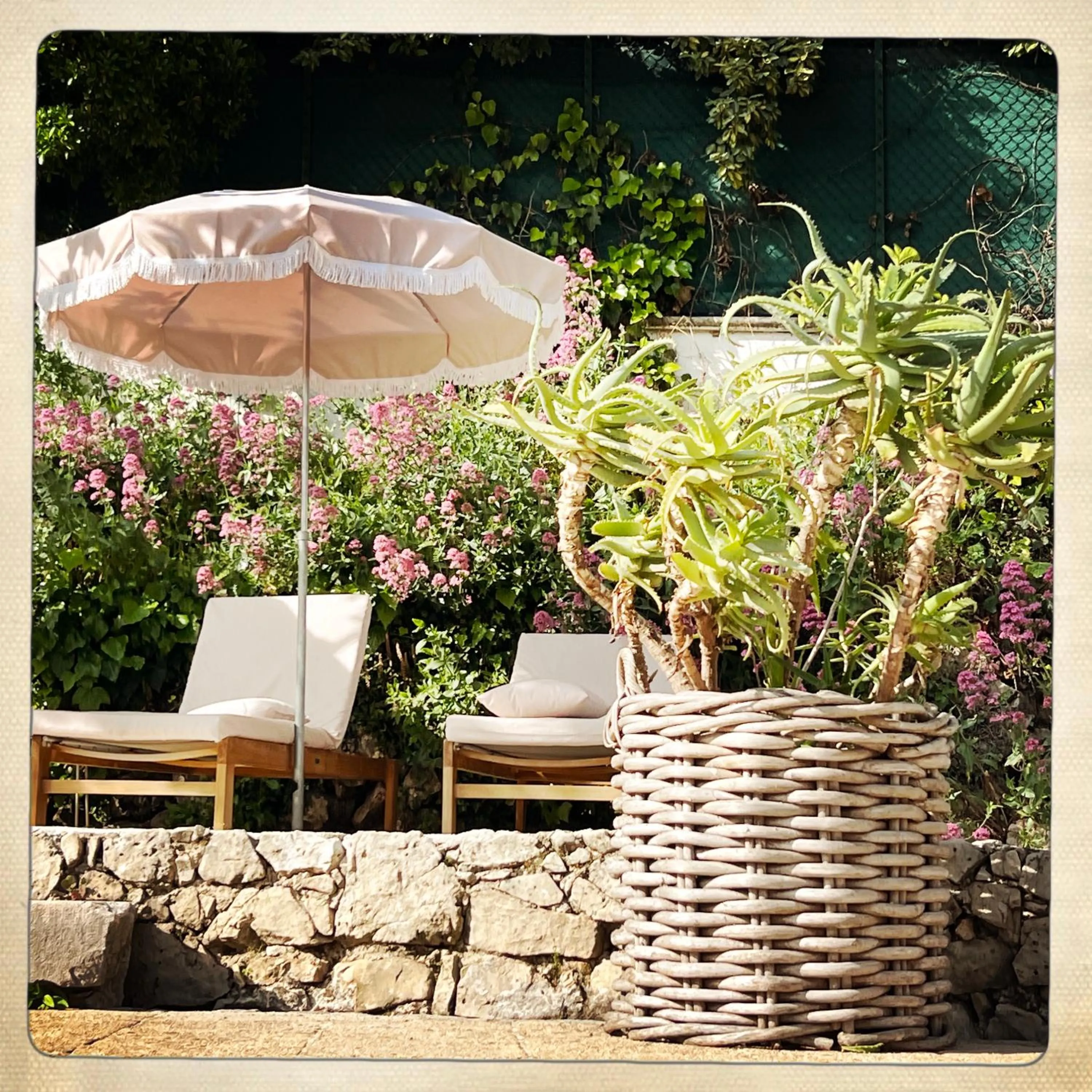 Garden in Hotel Les Messugues