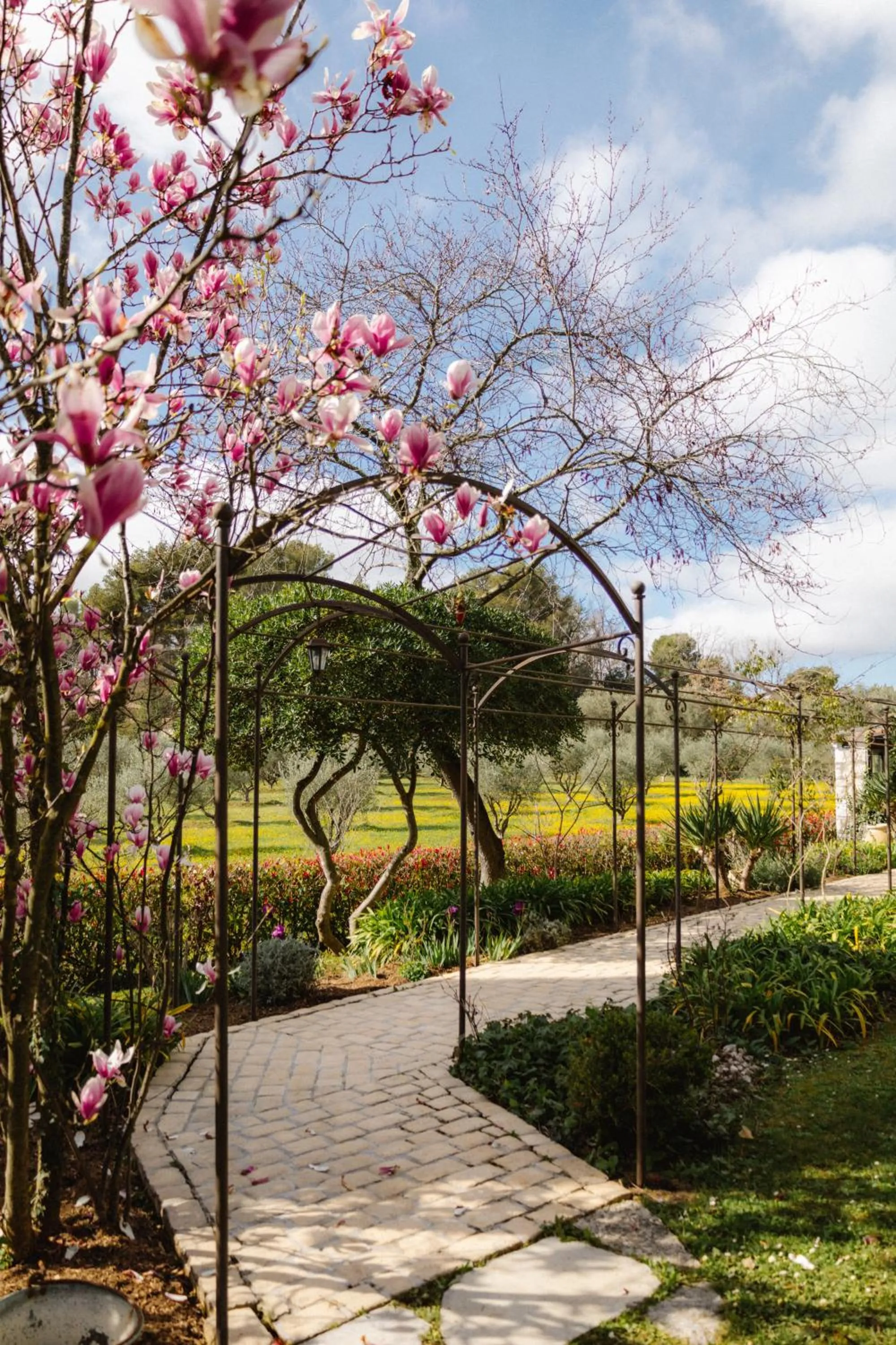Garden in Hotel Les Messugues
