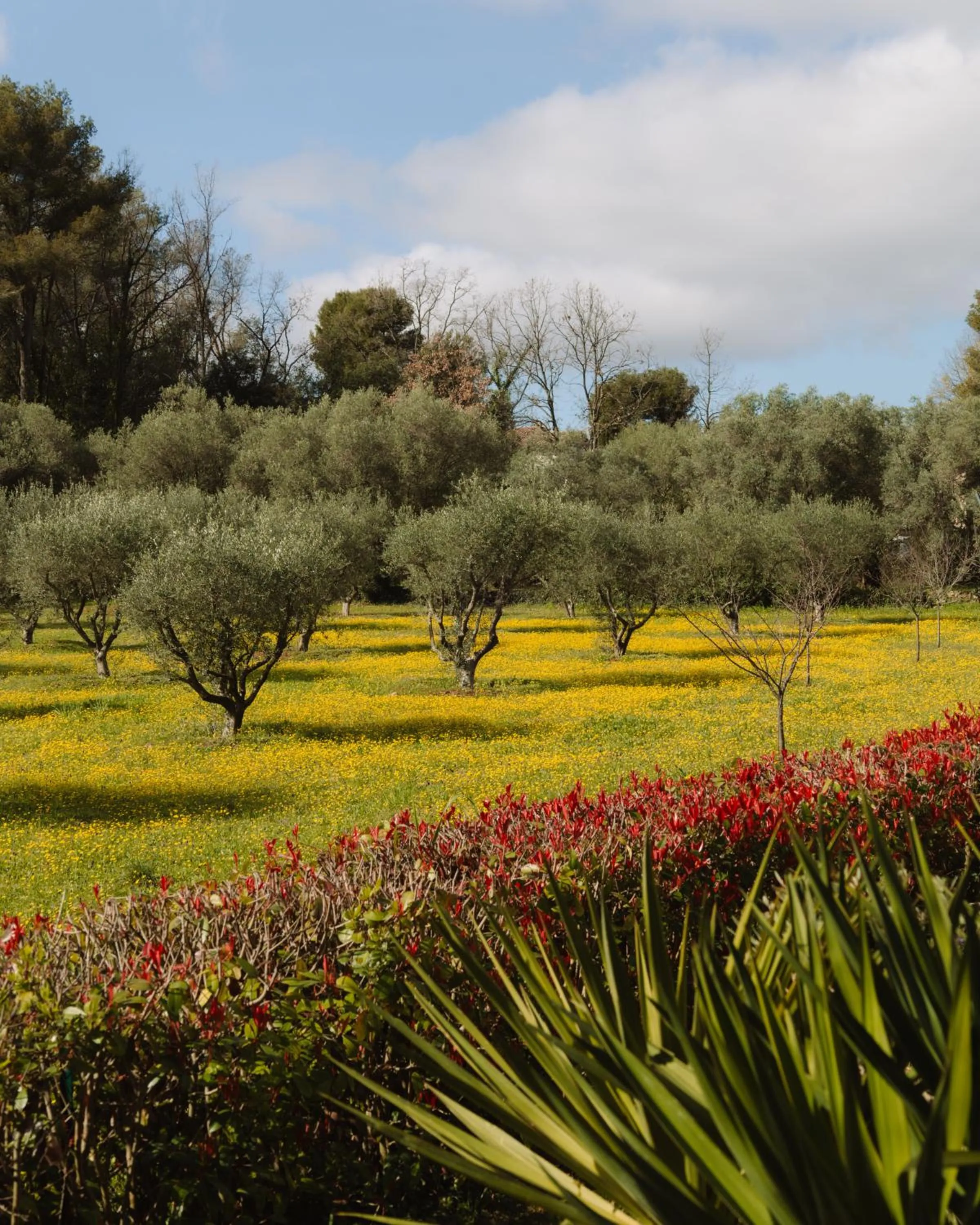 Natural landscape in Hotel Les Messugues
