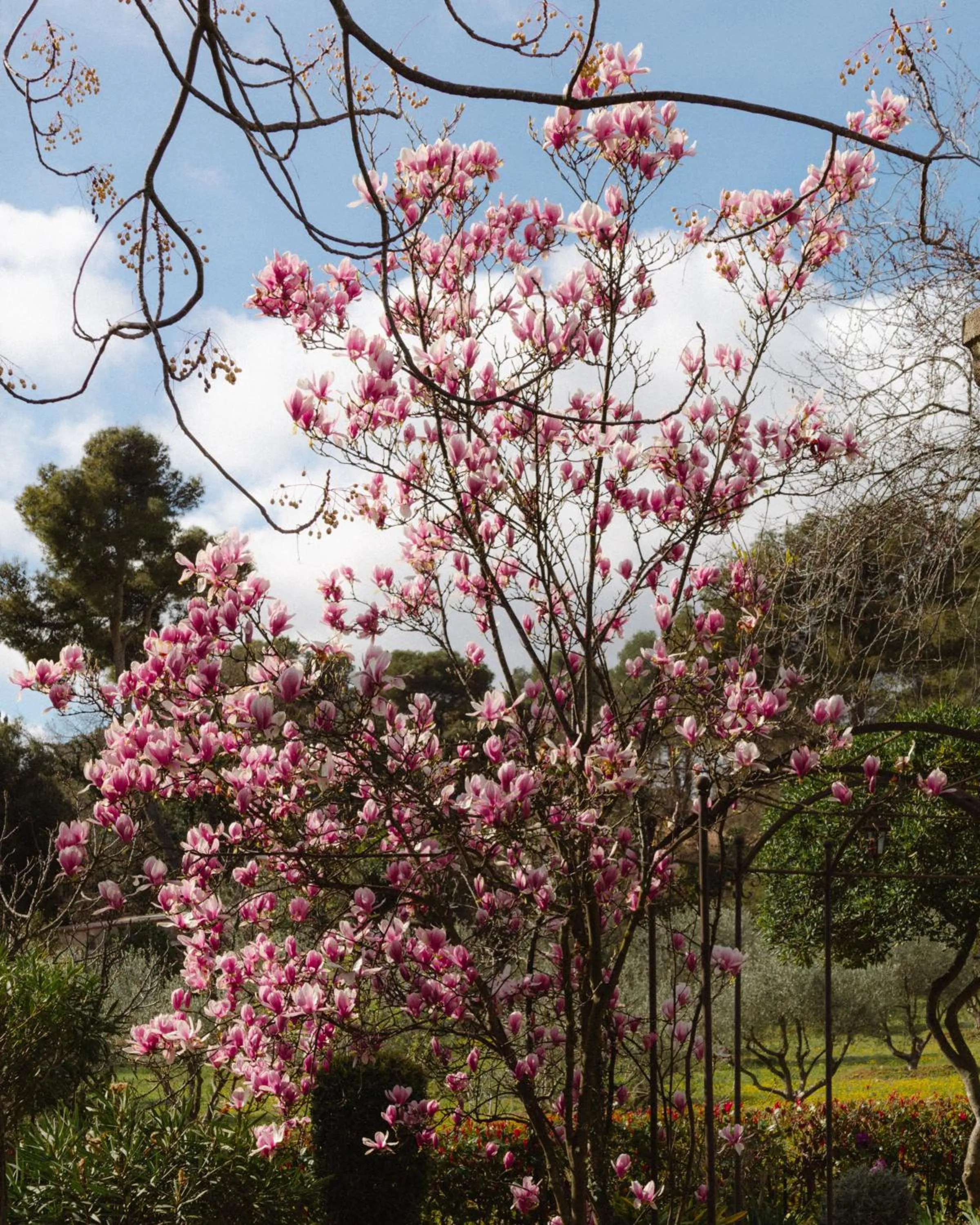 Garden view in Hotel Les Messugues