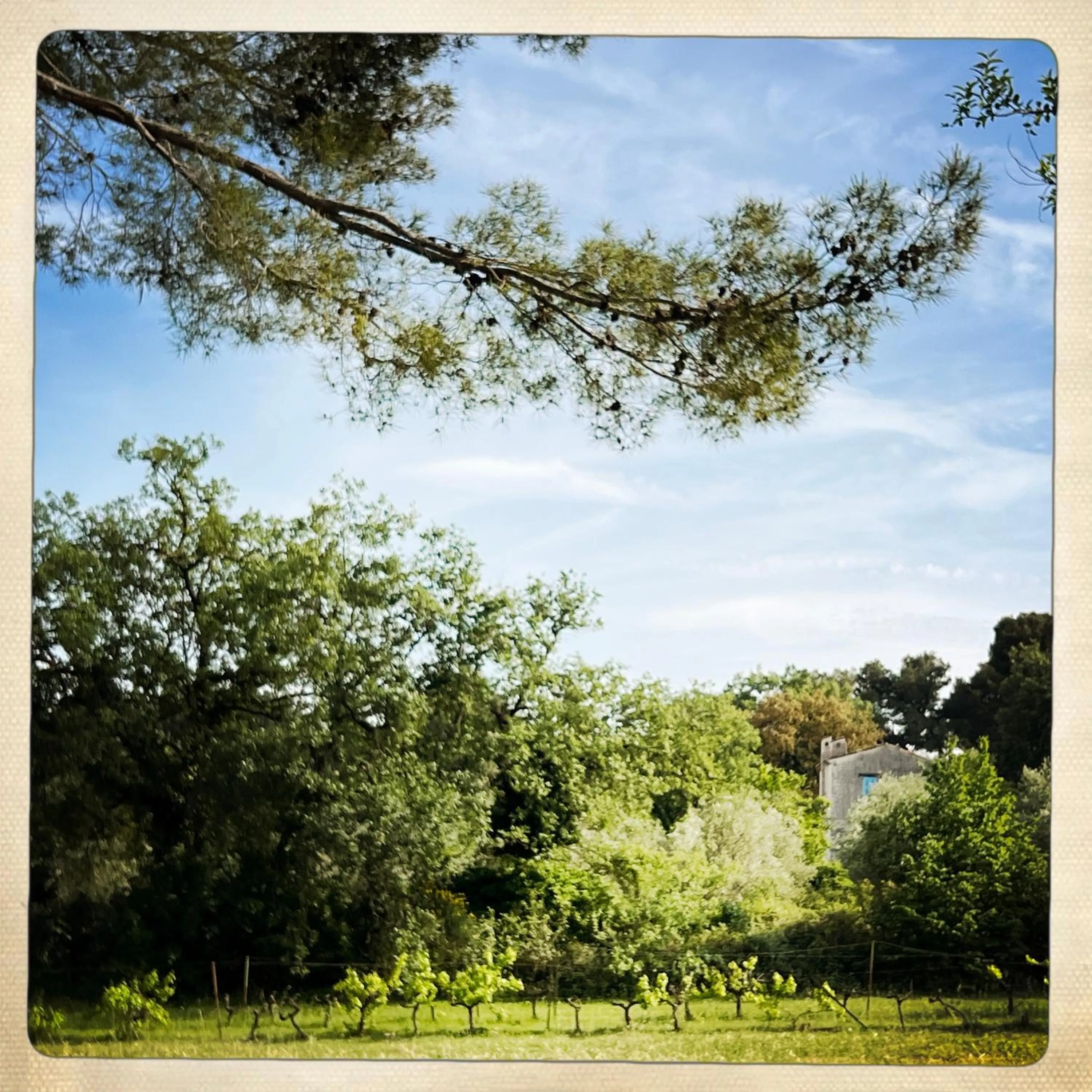 Day in Hotel Les Messugues