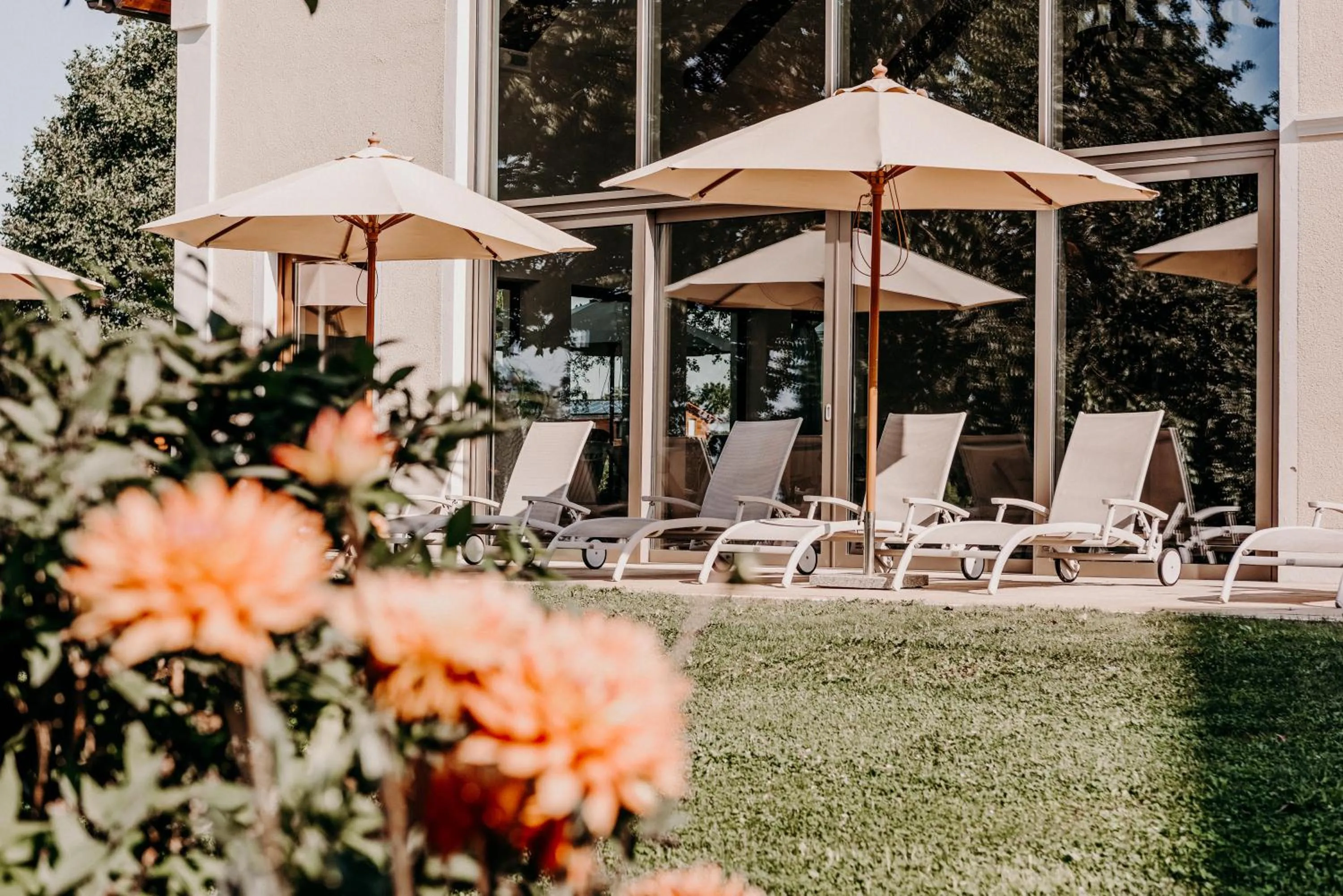 Garden in Der Eisvogel - Wellness- & Genusshotel