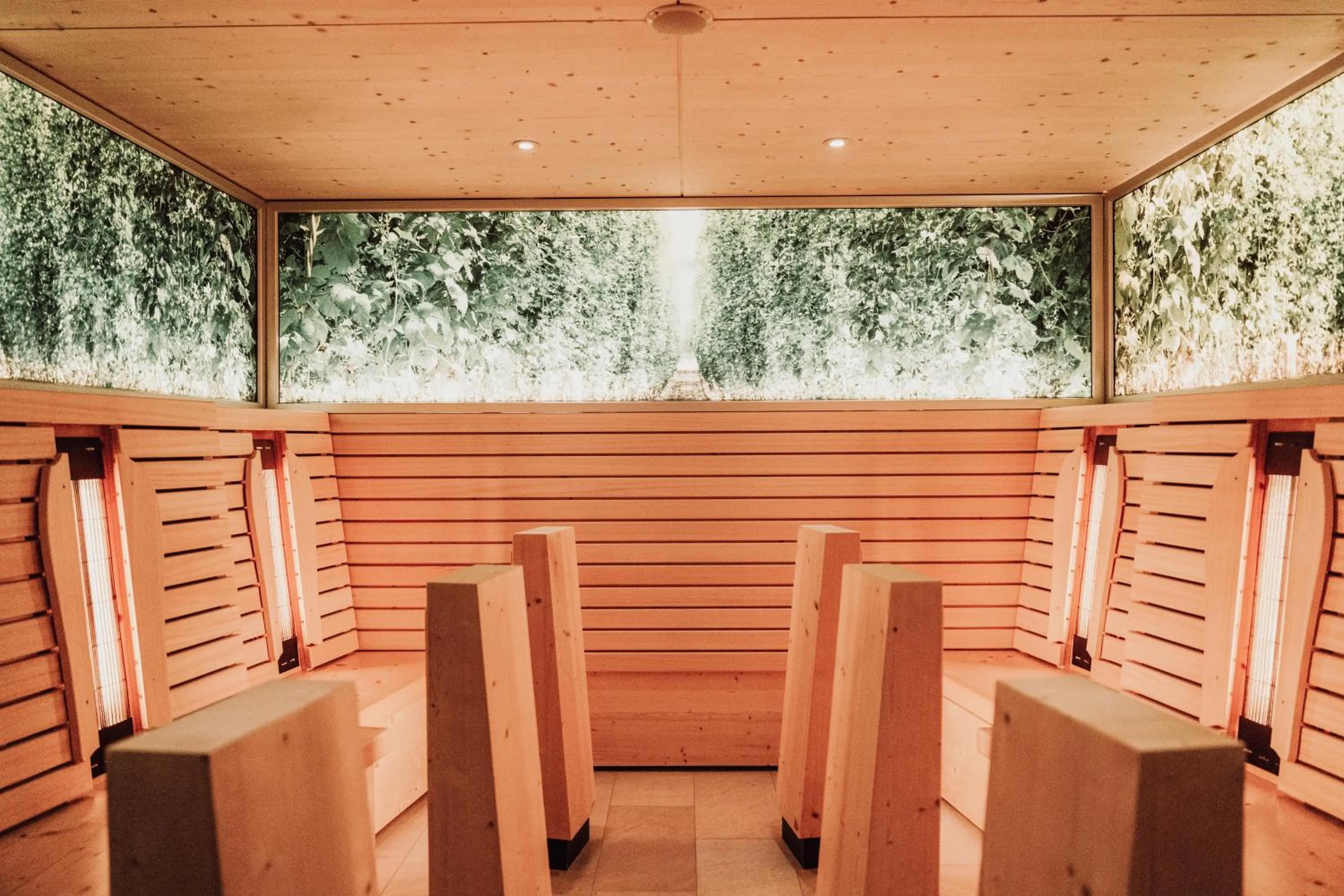 Sauna in Der Eisvogel - Wellness- & Genusshotel