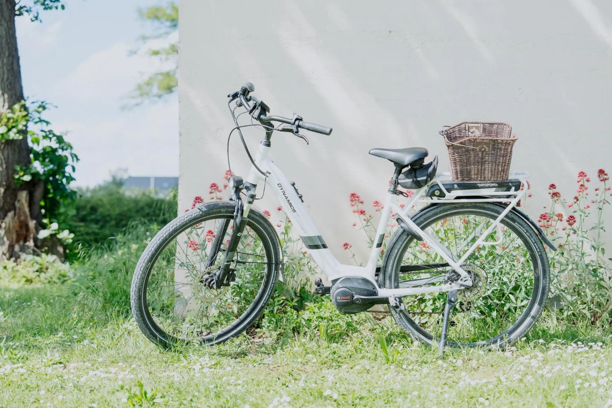 Cycling in Der Eisvogel - Wellness- & Genusshotel