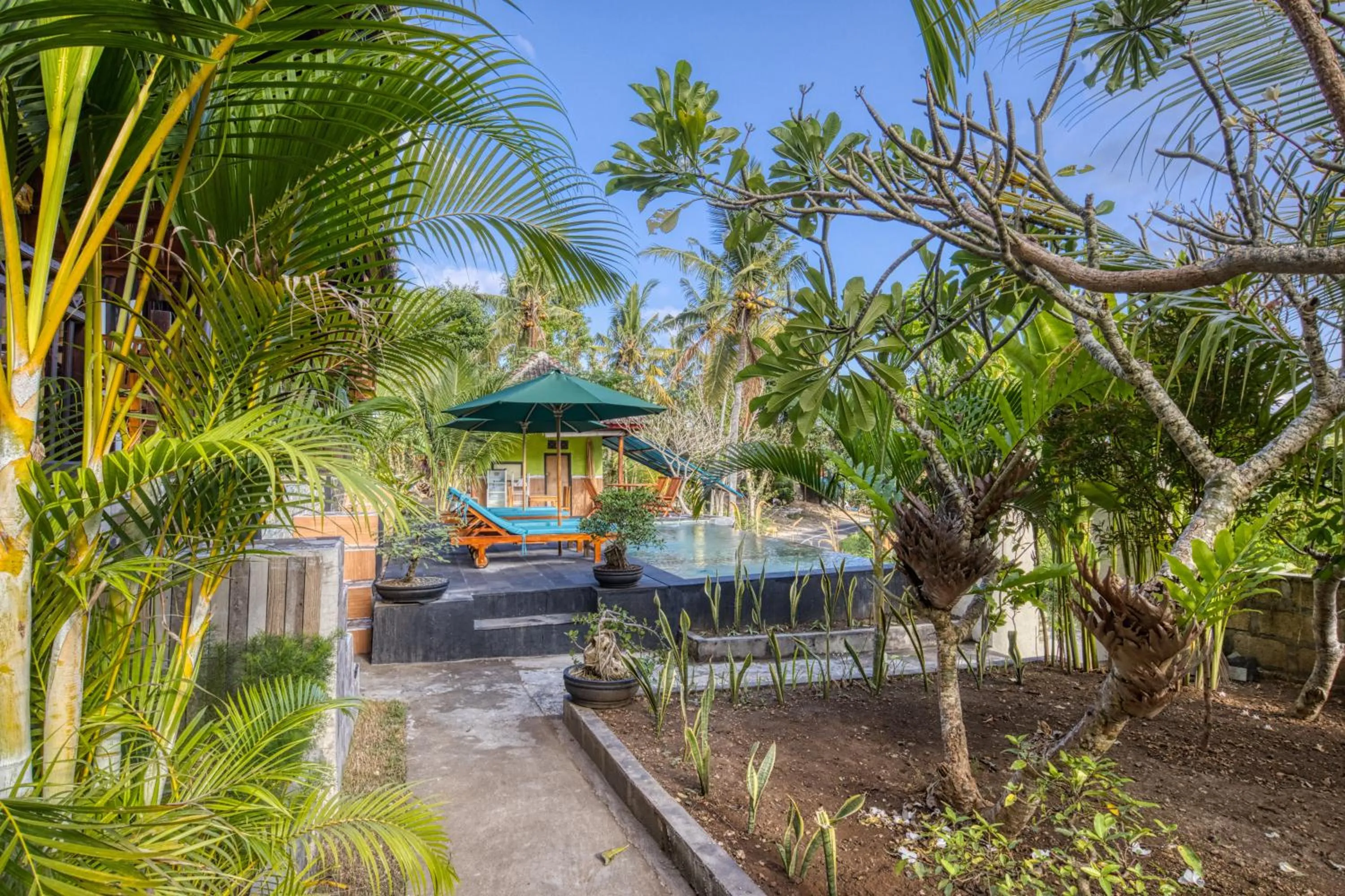 Garden in The Mountain Cottage