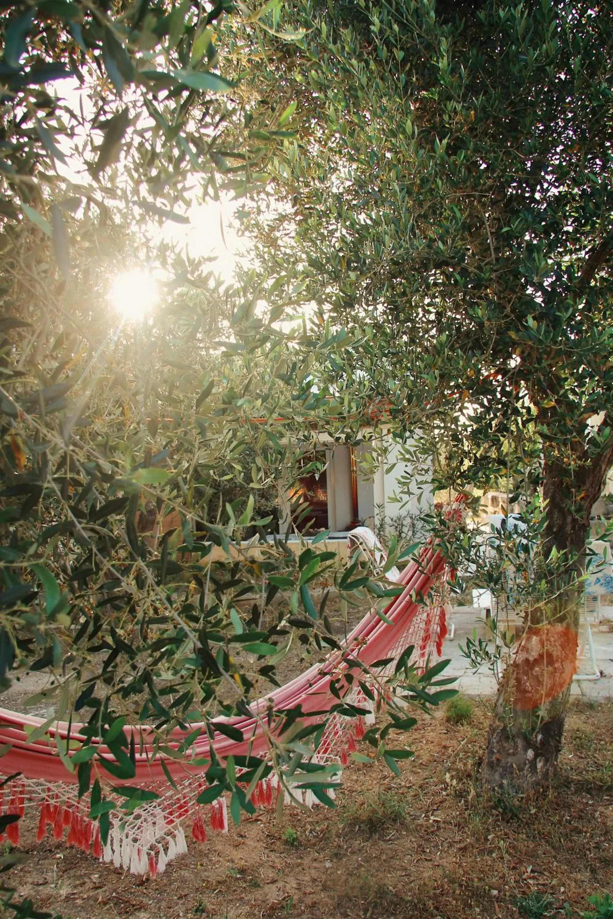 Stella del Sud Guesthouse