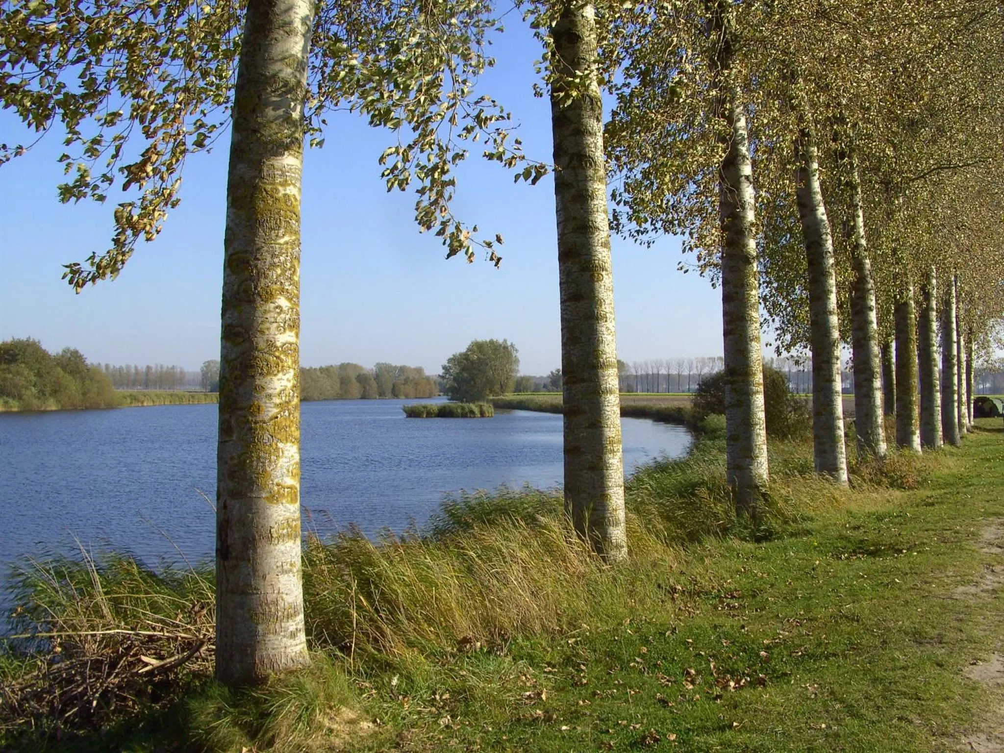 Neighbourhood in De Zonnebrug Dijkhoeve