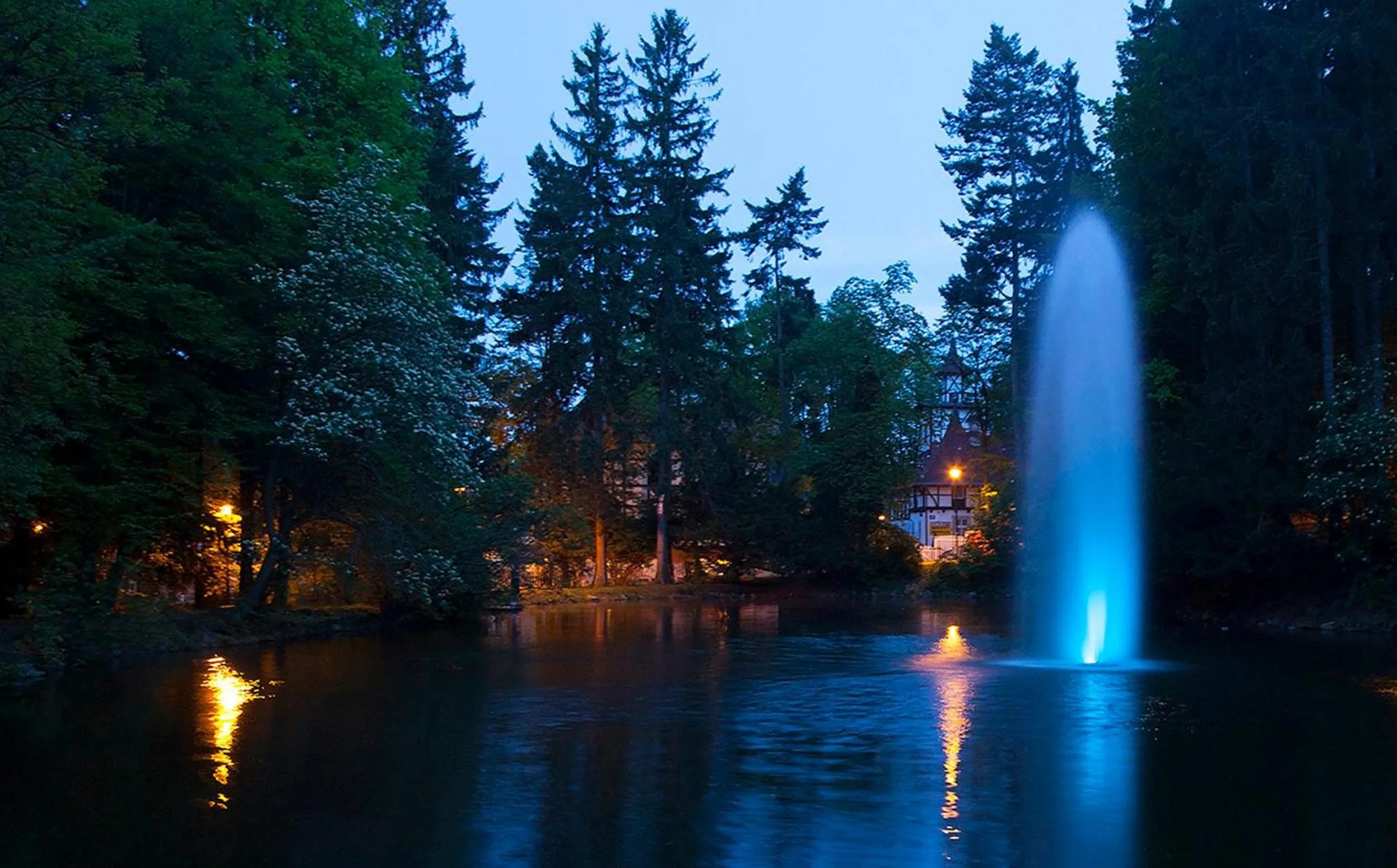 Area and facilities in Hotel Camelot