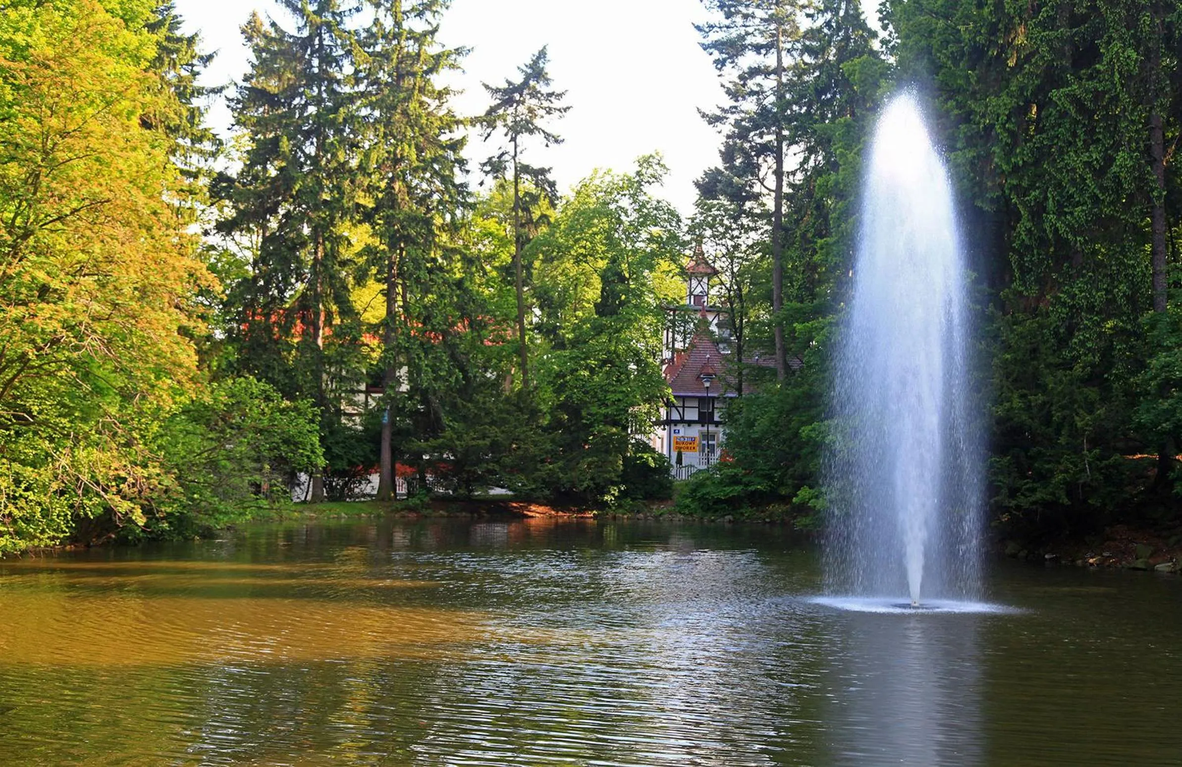 Area and facilities in Hotel Camelot