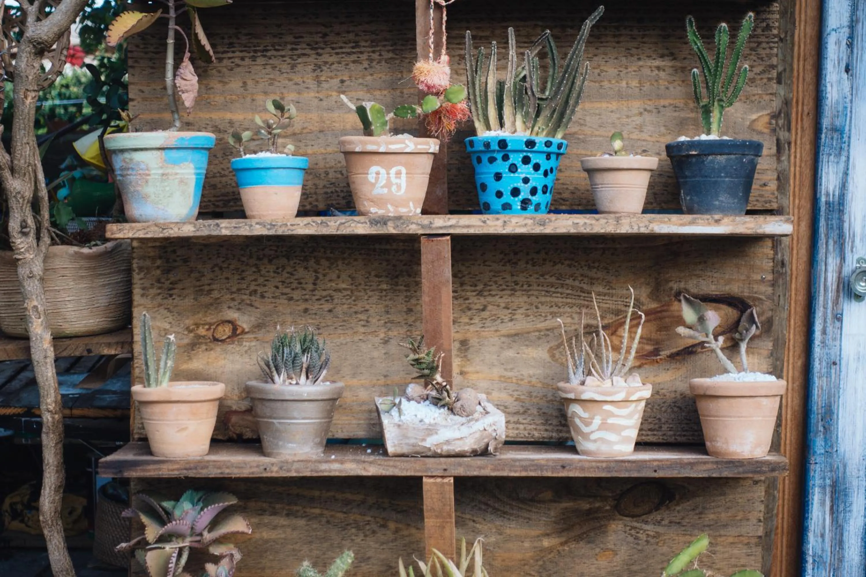 Jardim Secreto Guest House