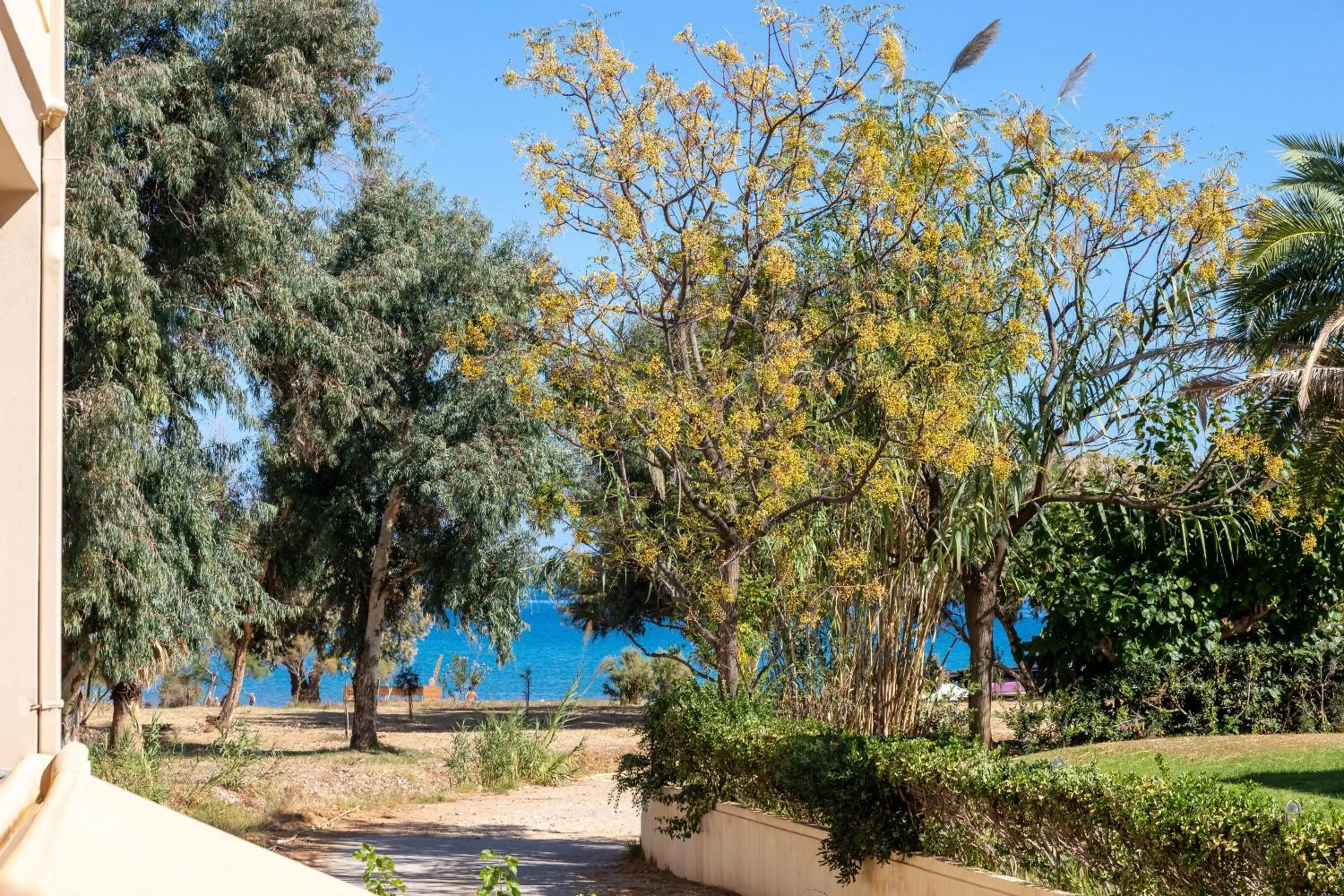 Natural landscape in Sun Beach Apartments