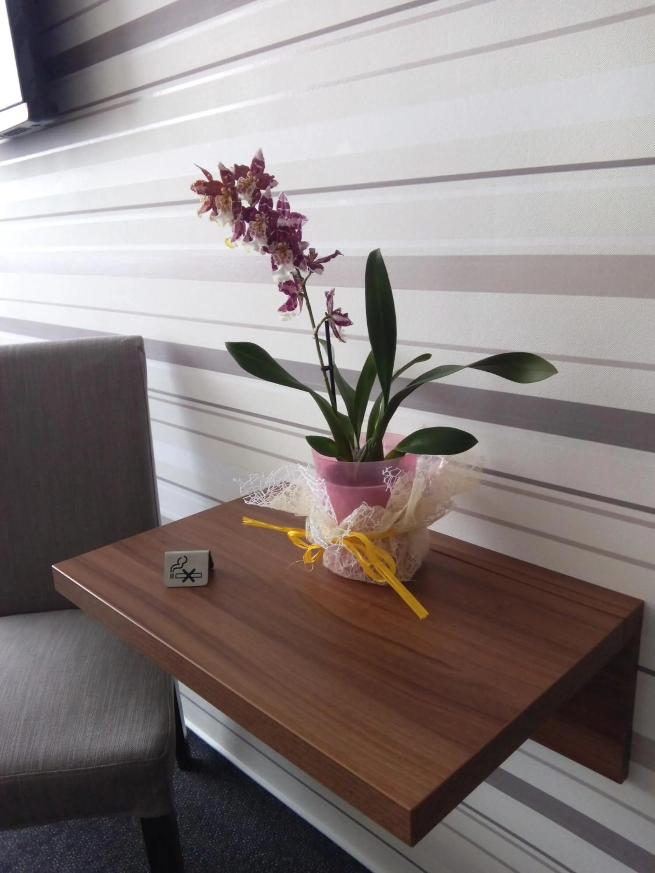 Decorative detail in Hotel Arkáda