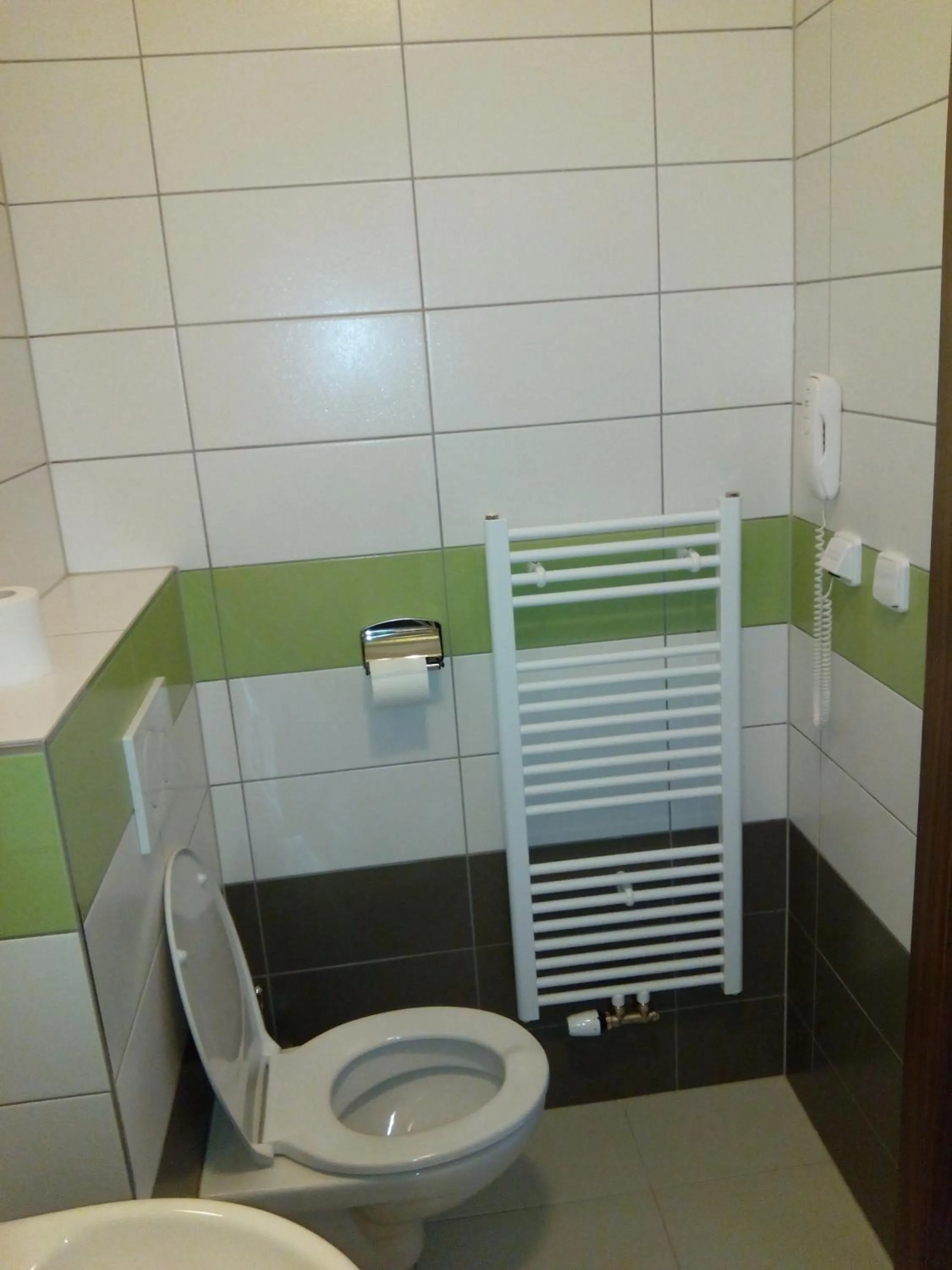 Toilet in Hotel Arkáda