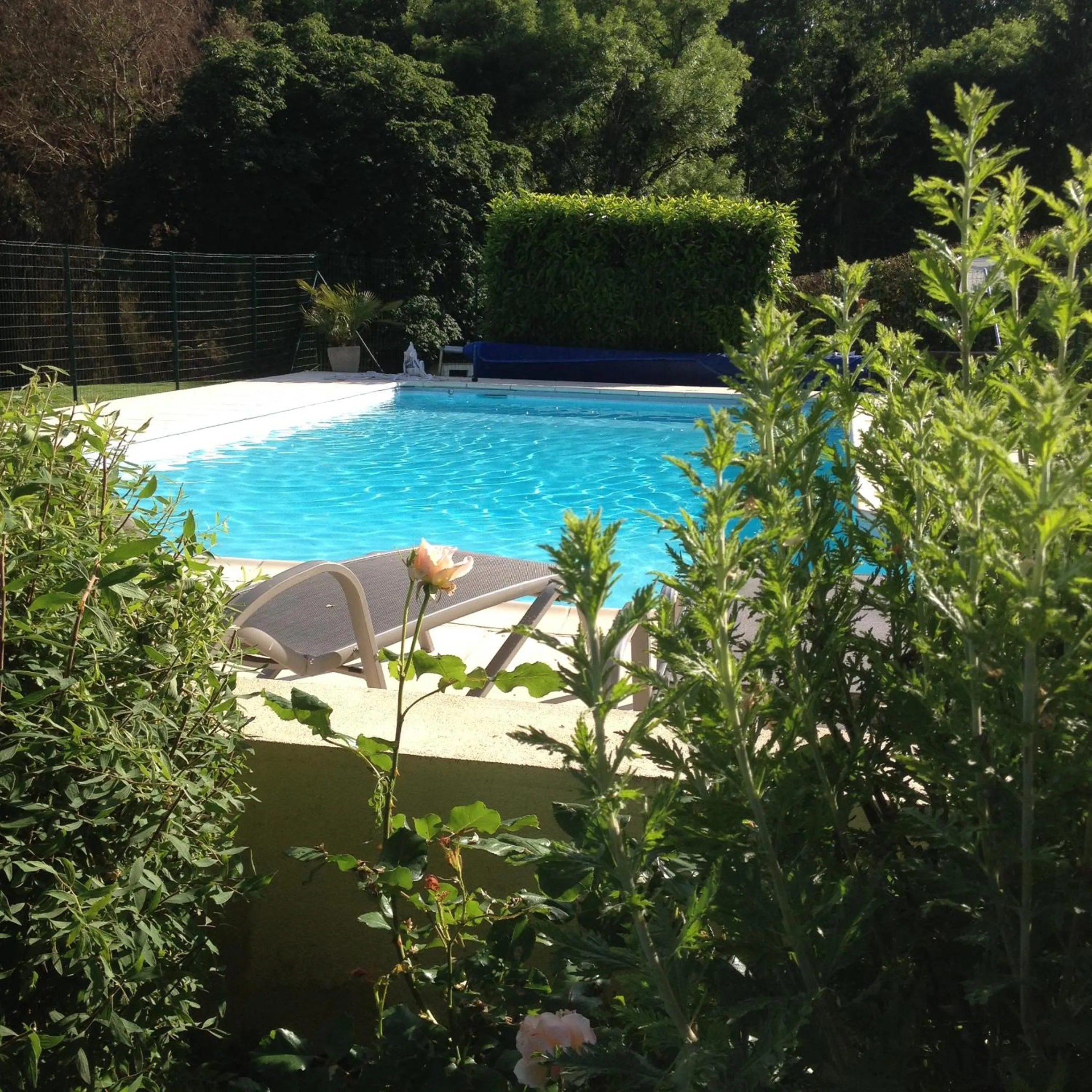 Swimming pool in LA FERME D'AIGUROLLES