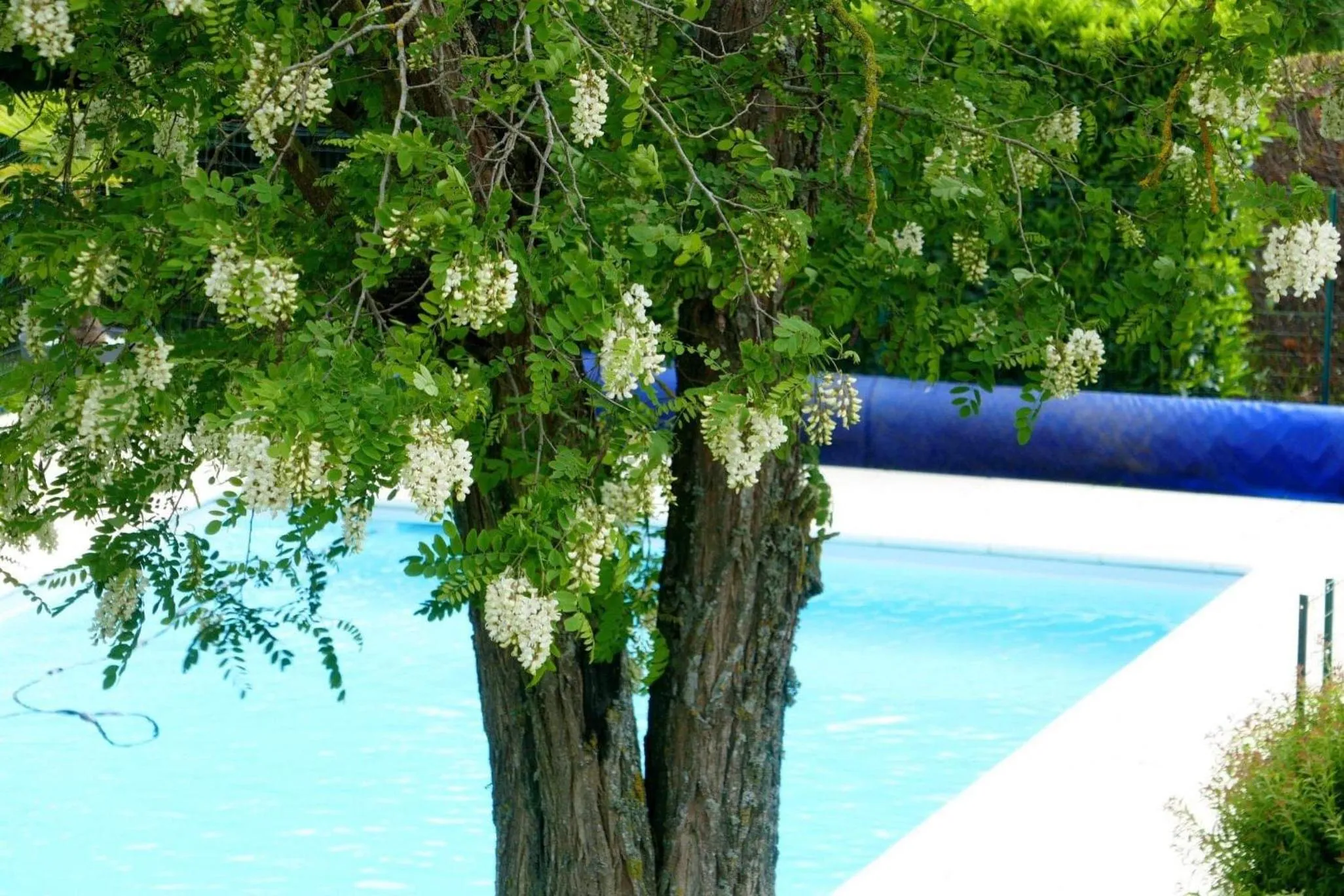 Garden in LA FERME D'AIGUROLLES