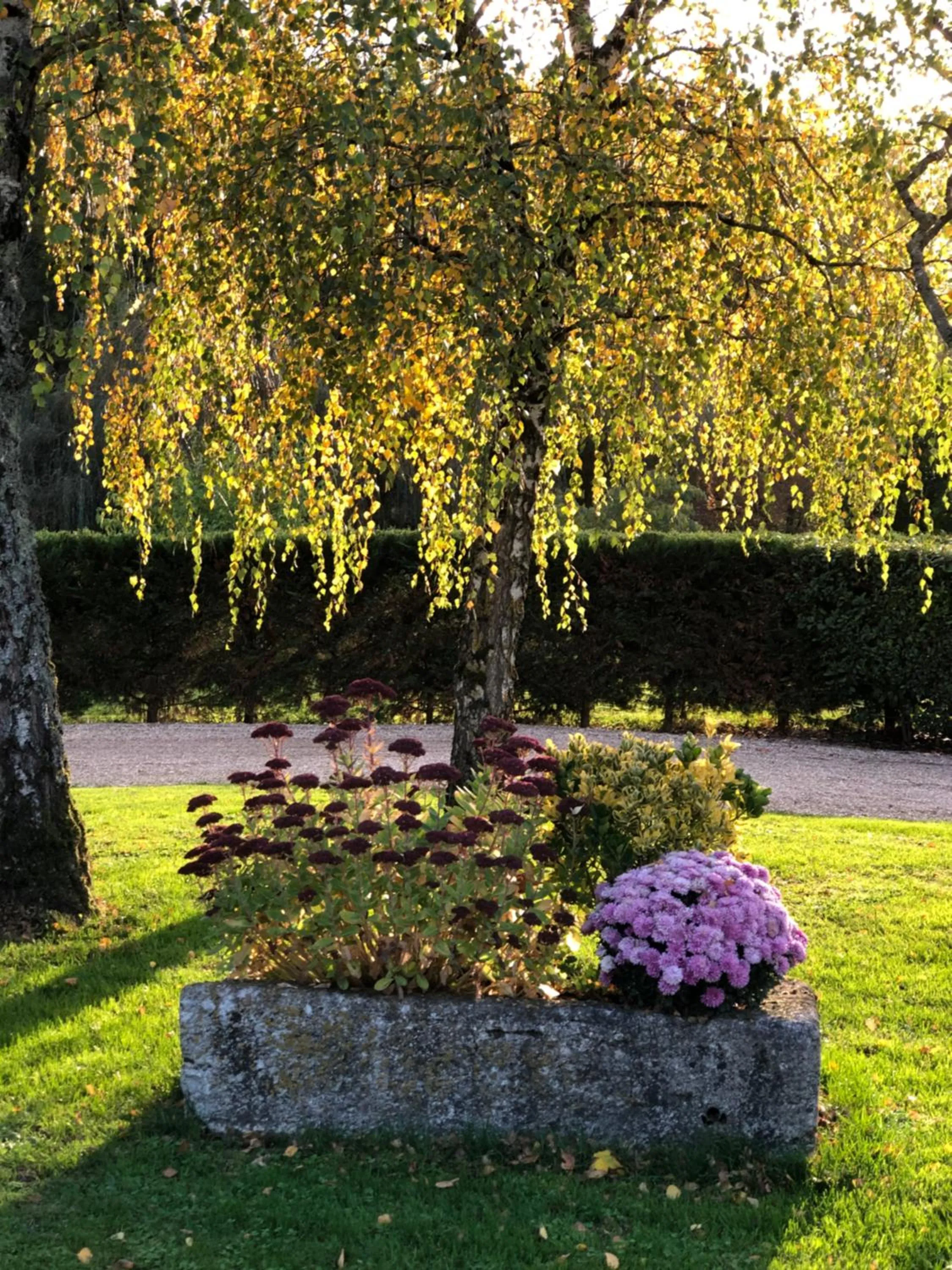 Garden in LA FERME D'AIGUROLLES