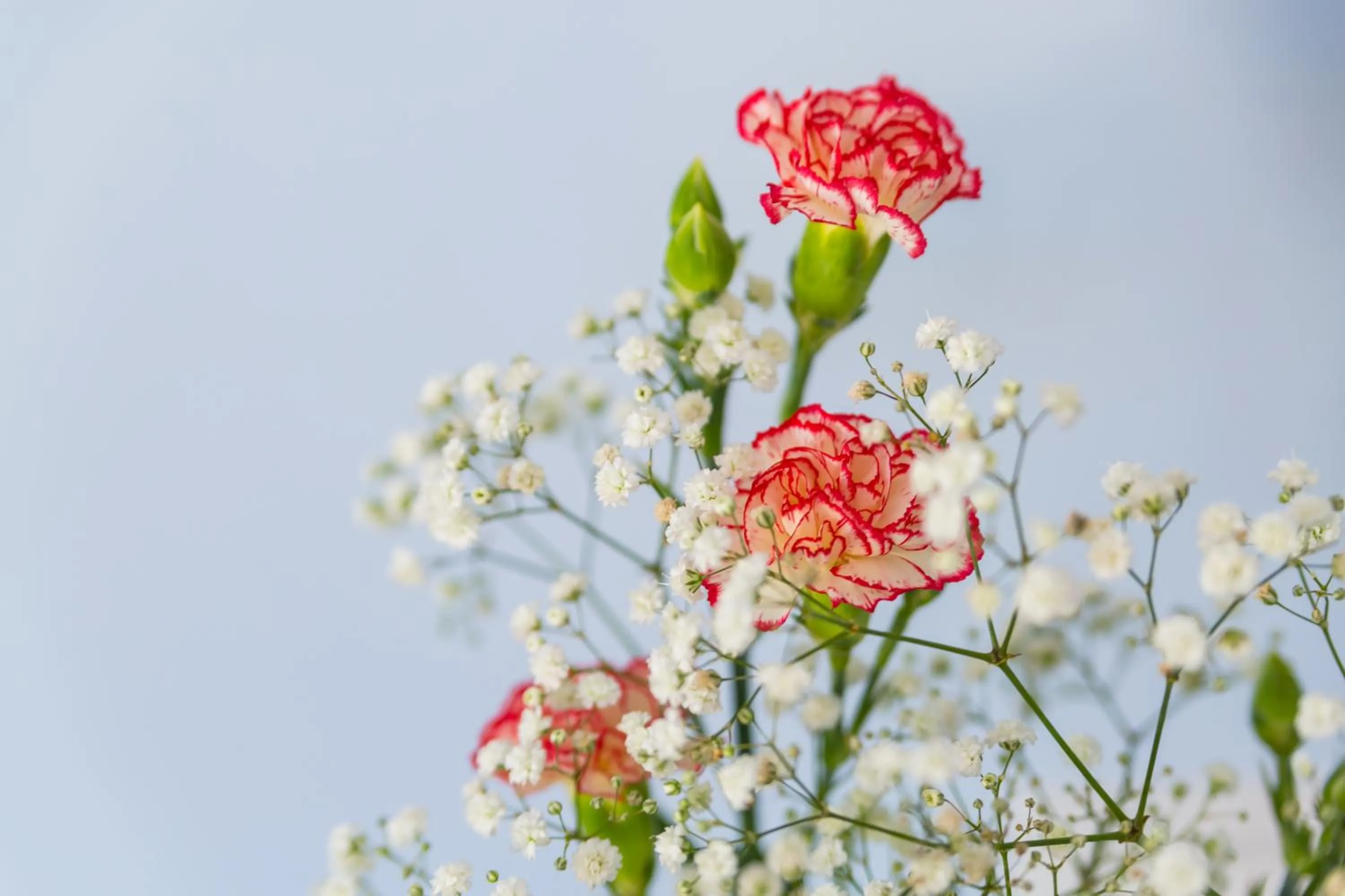 Decorative detail in Casa Ela