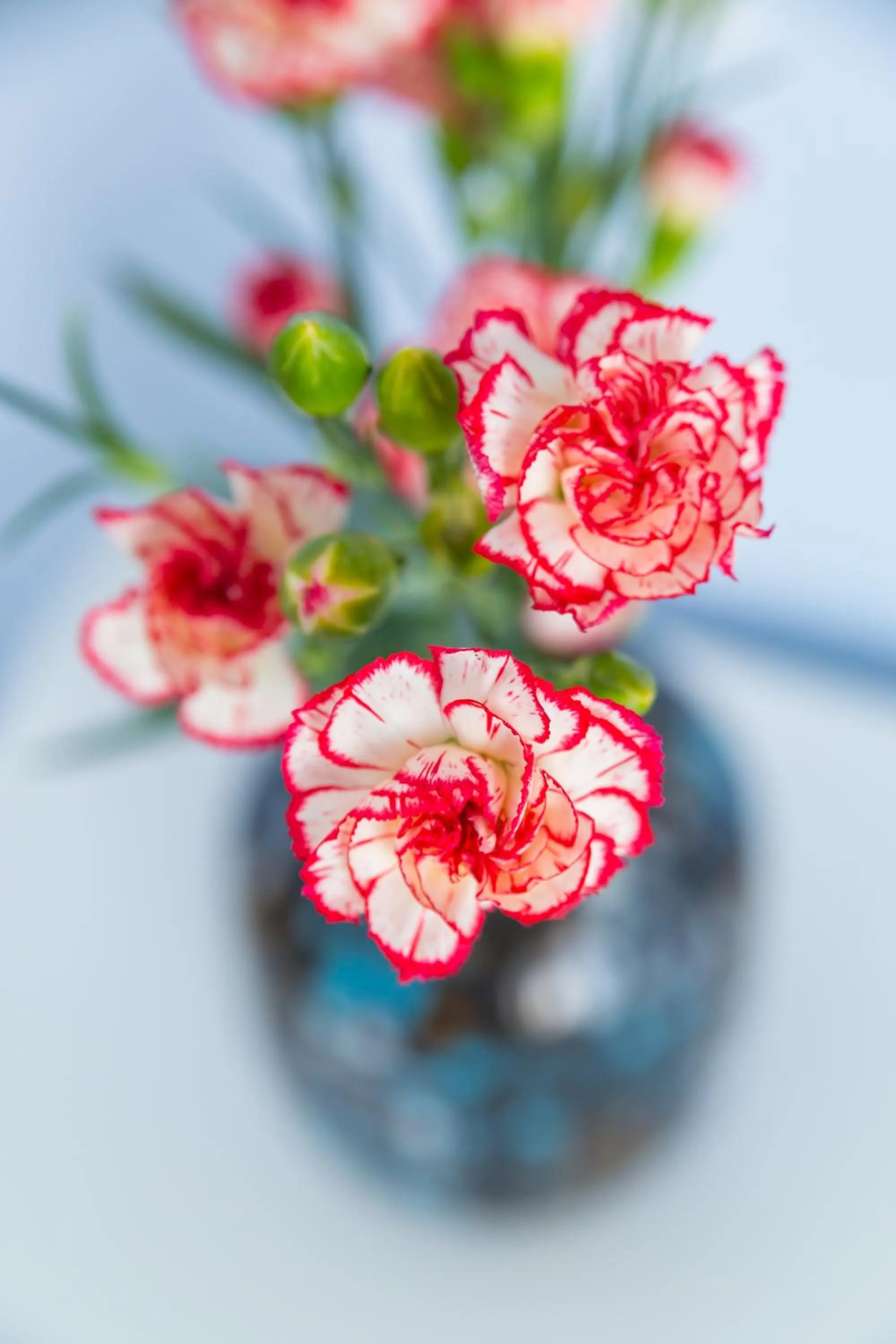 Decorative detail in Casa Ela