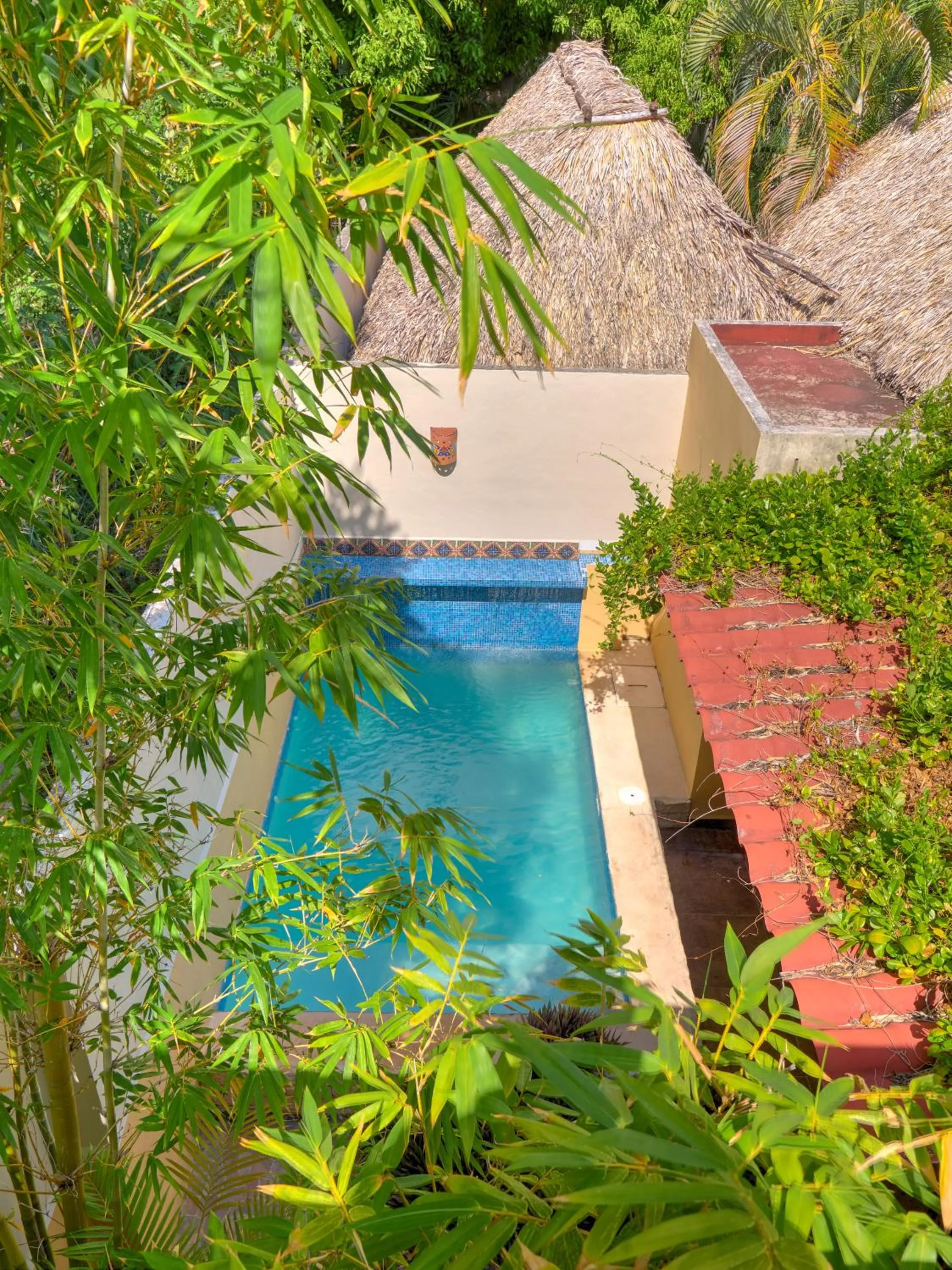 View (from property/room) in Casa Del Maya Bed & Breakfast