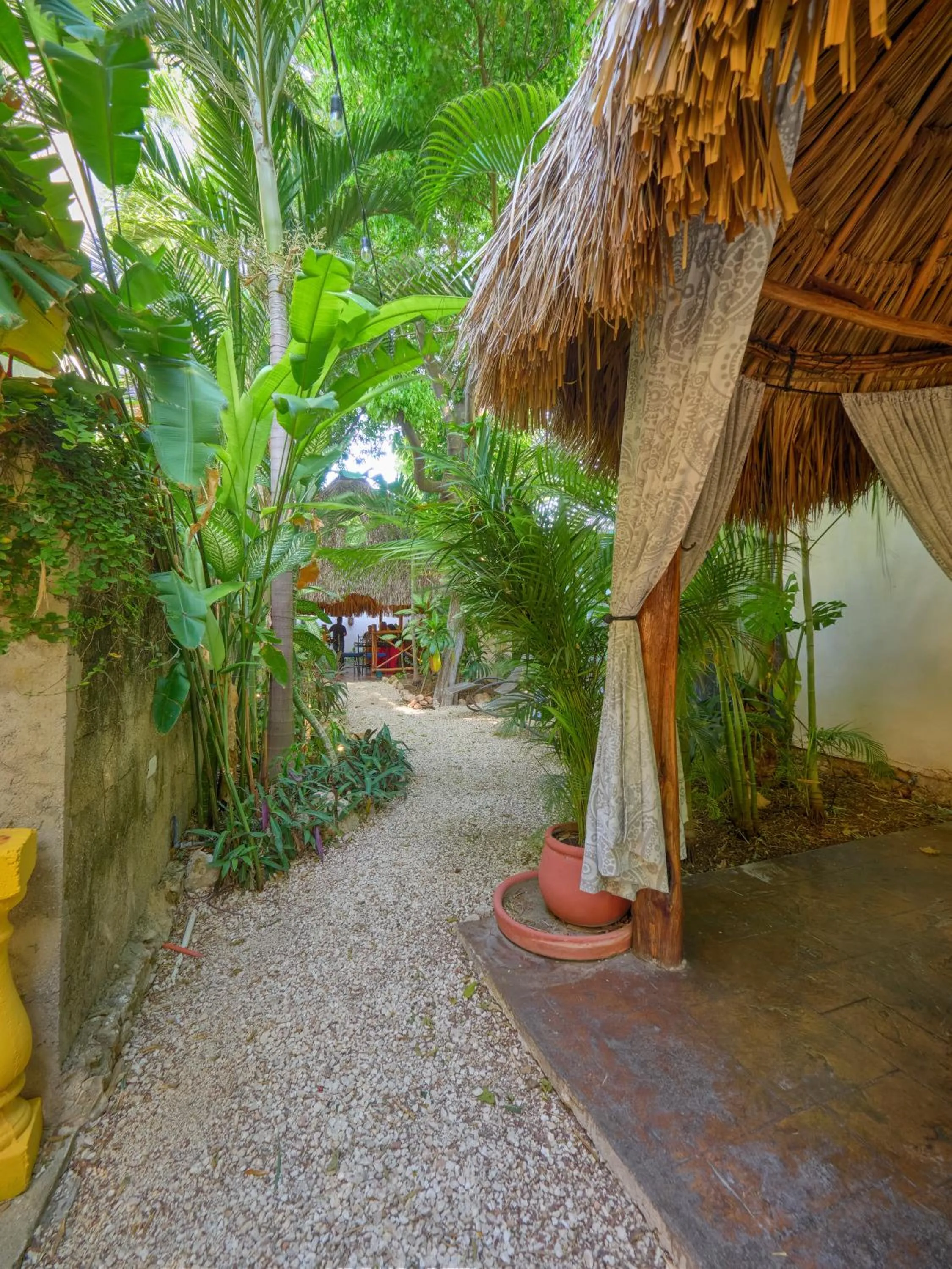 Garden in Casa Del Maya Bed & Breakfast