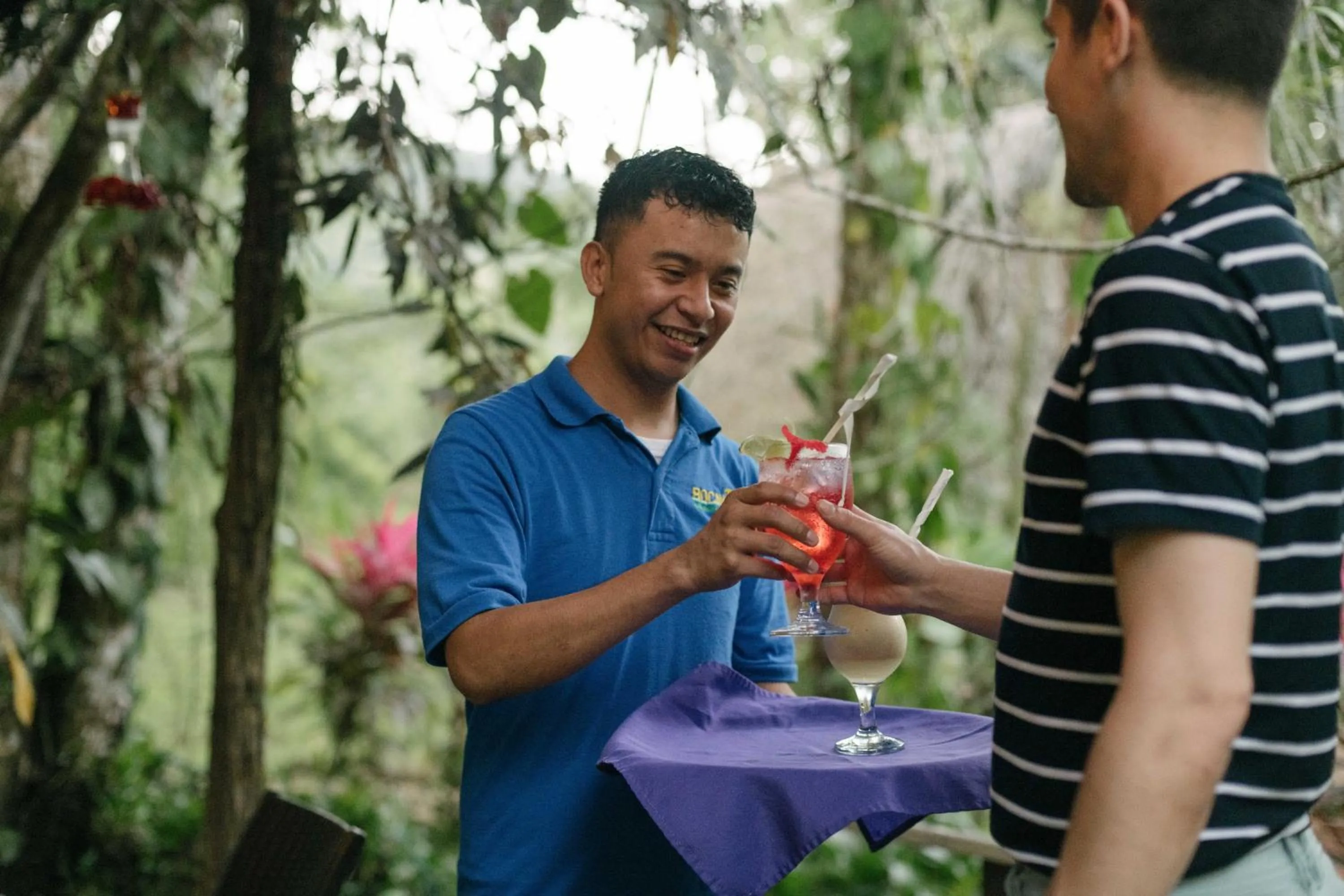 Bocawina Rainforest Resort