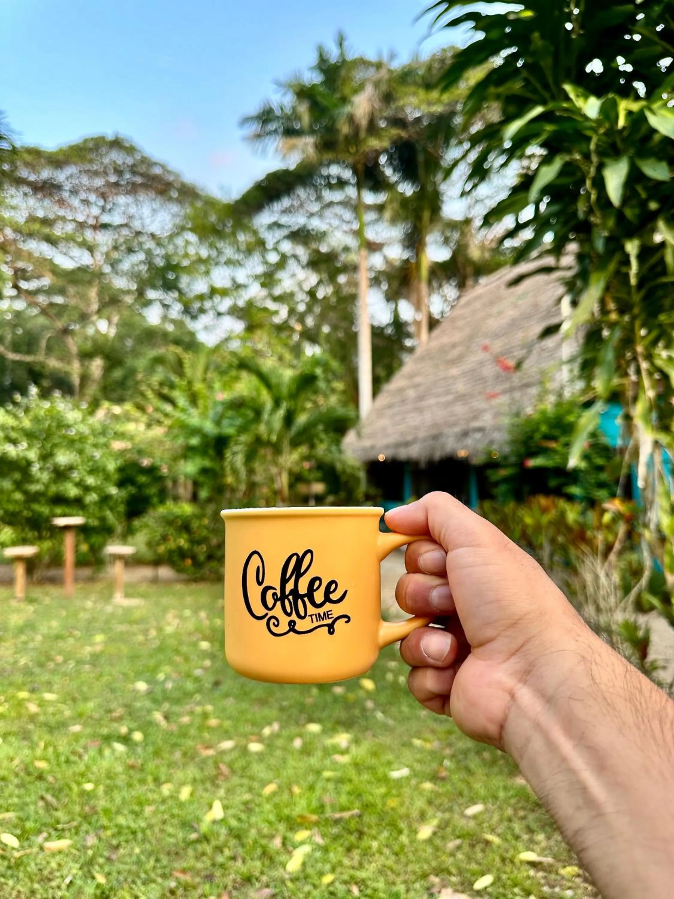 Bocawina Rainforest Resort