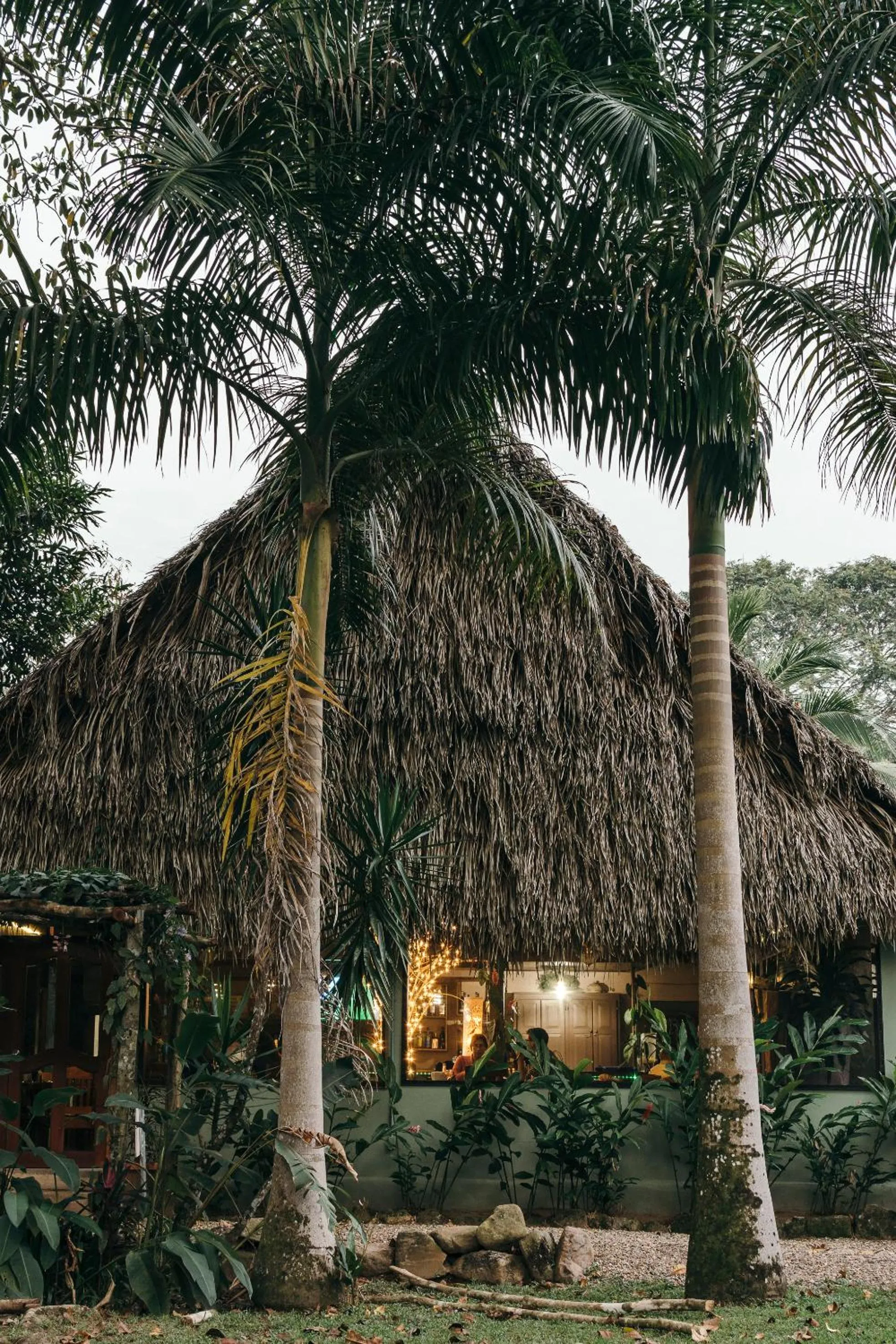 Property building in Bocawina Rainforest Resort