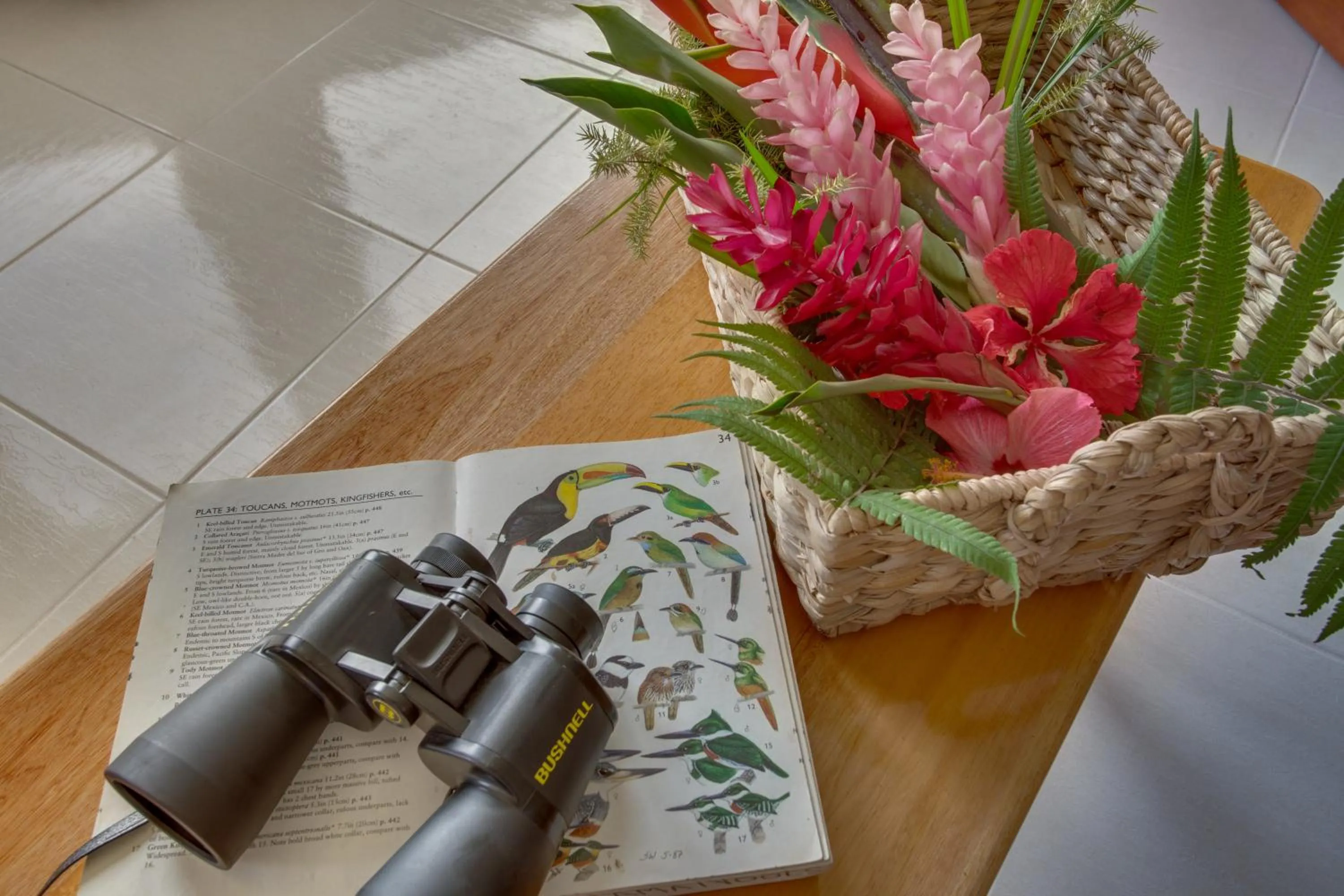 Bocawina Rainforest Resort