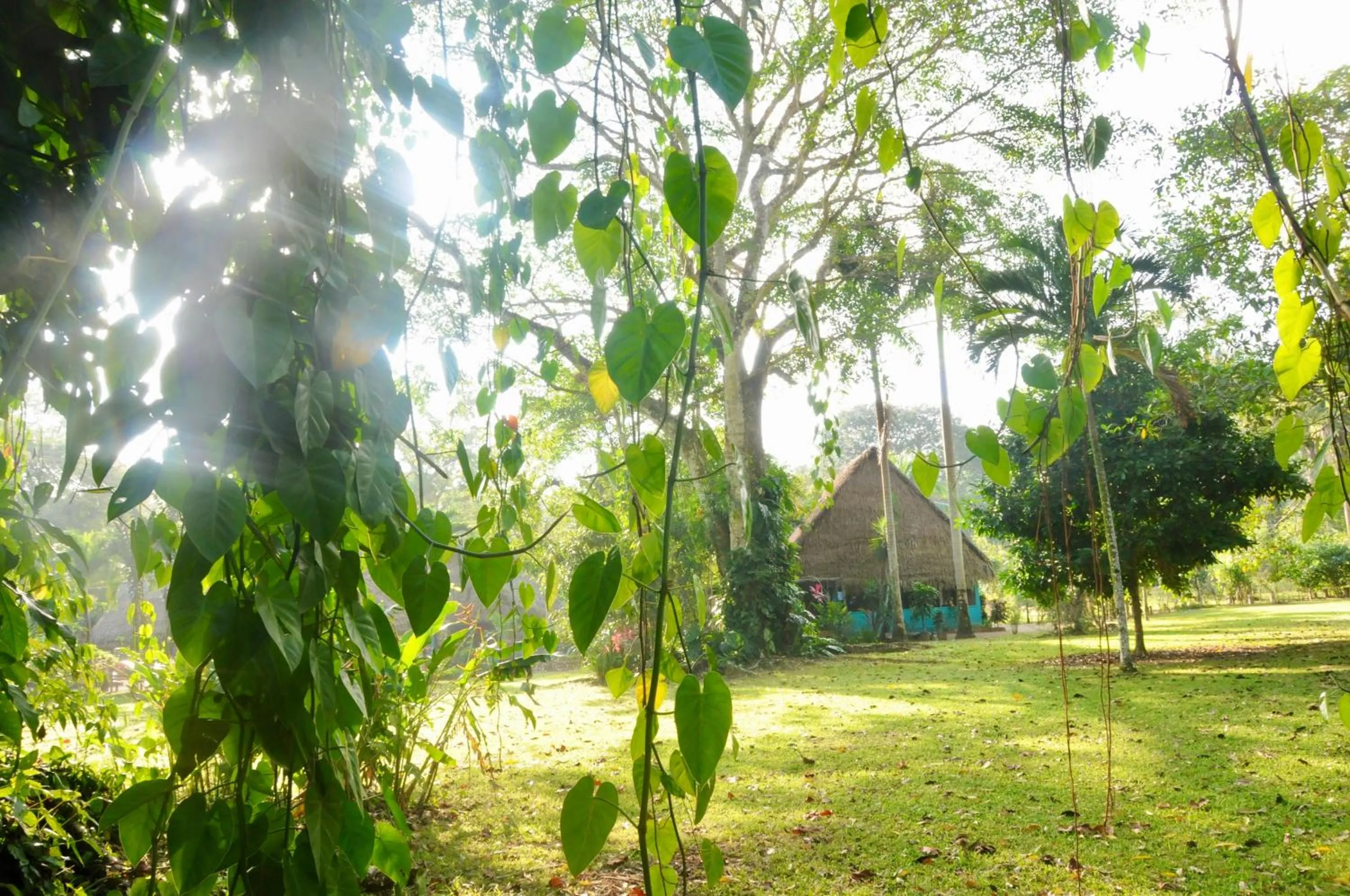 Bocawina Rainforest Resort