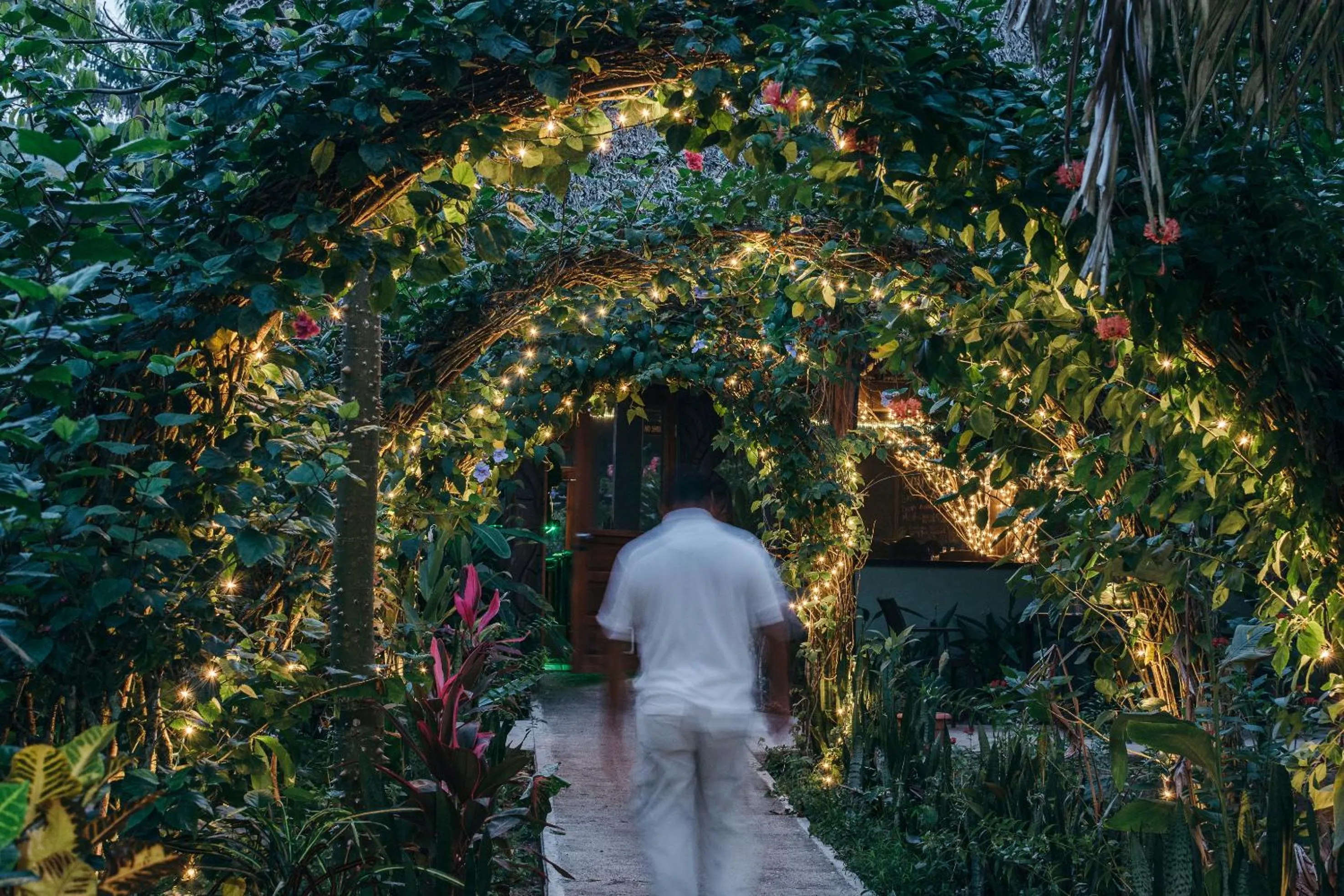 Property building in Bocawina Rainforest Resort