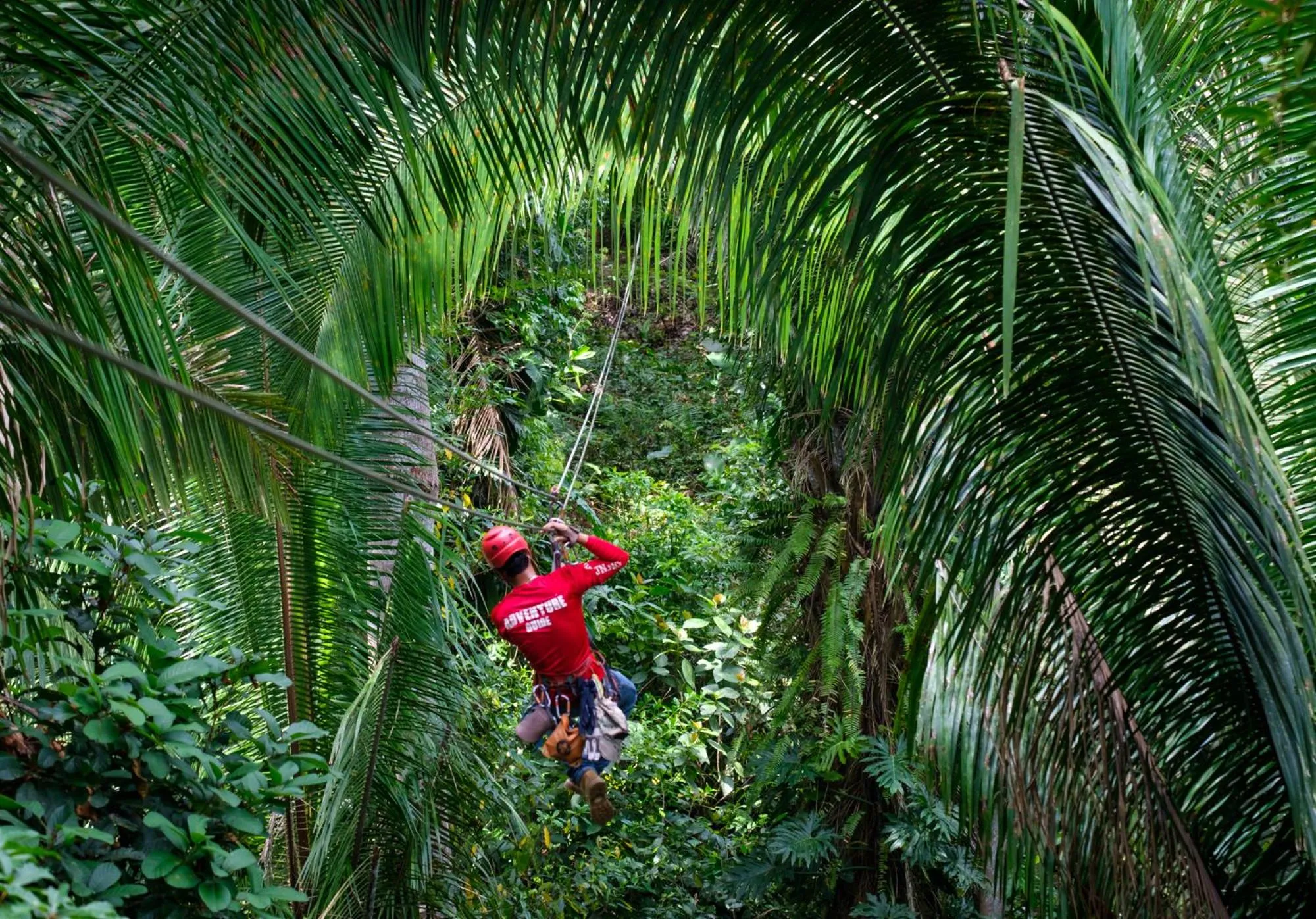 Activities in Bocawina Rainforest Resort