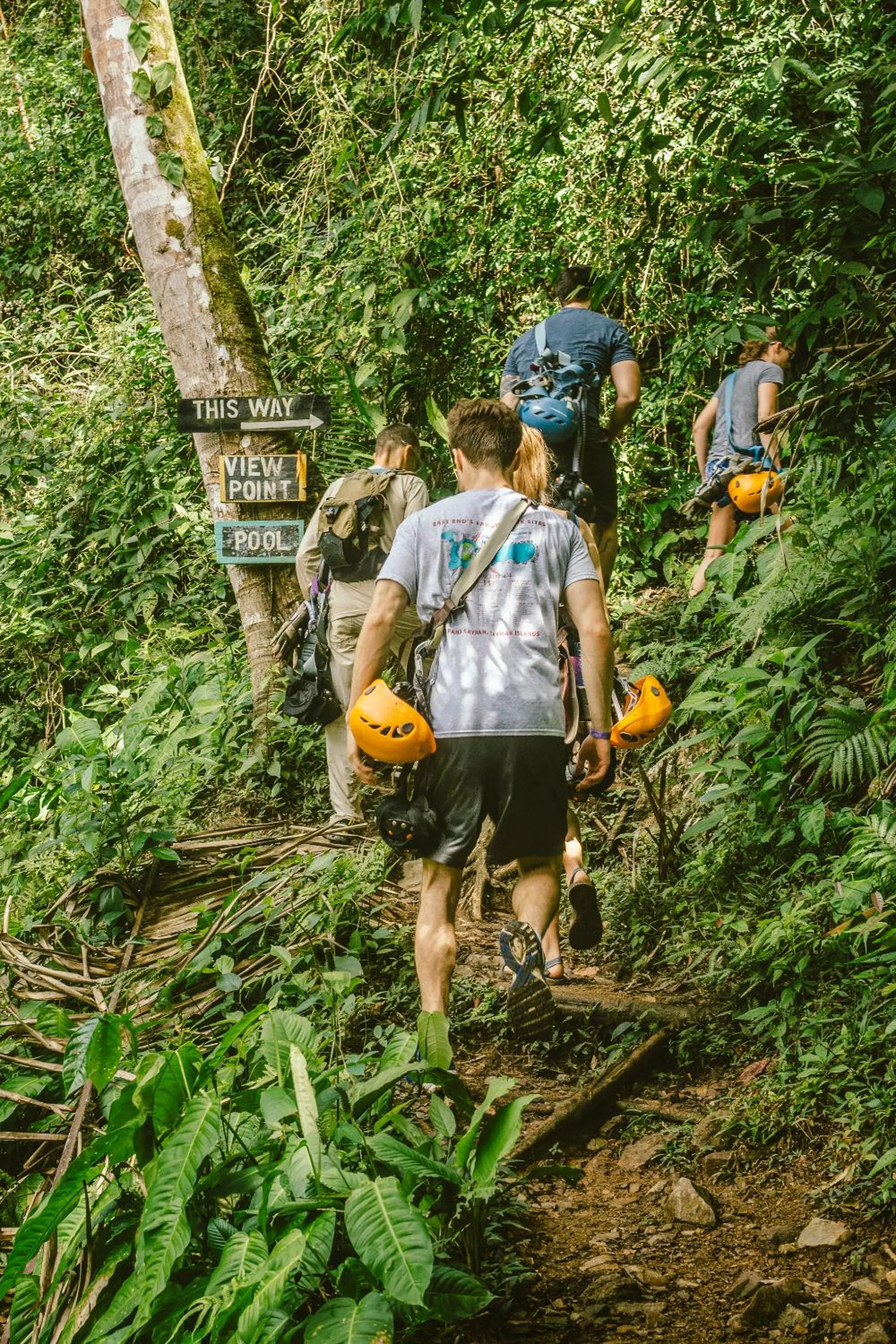 Hiking in Bocawina Rainforest Resort