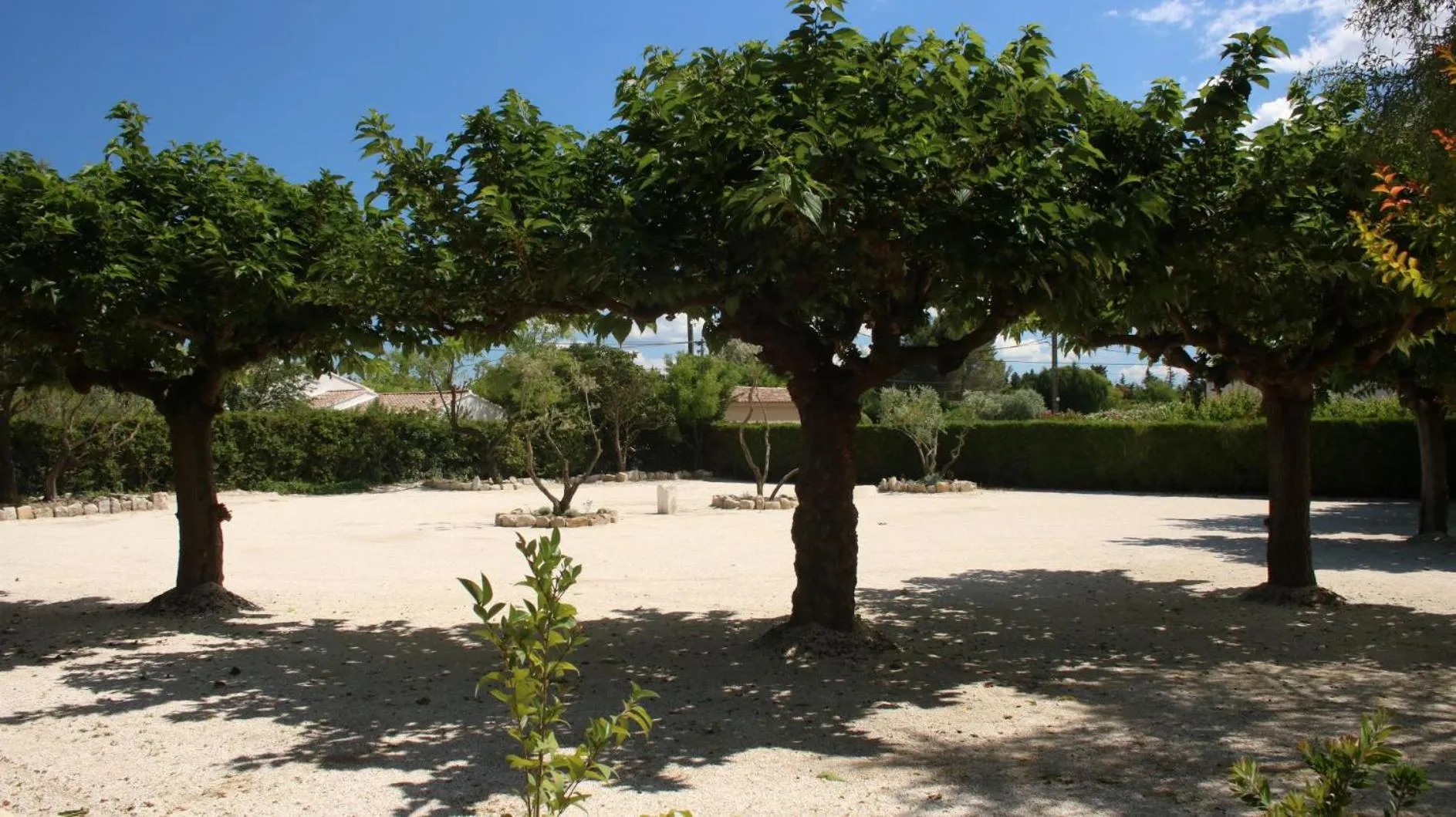 Area and facilities in Hôtel Le Mas Des Amandiers