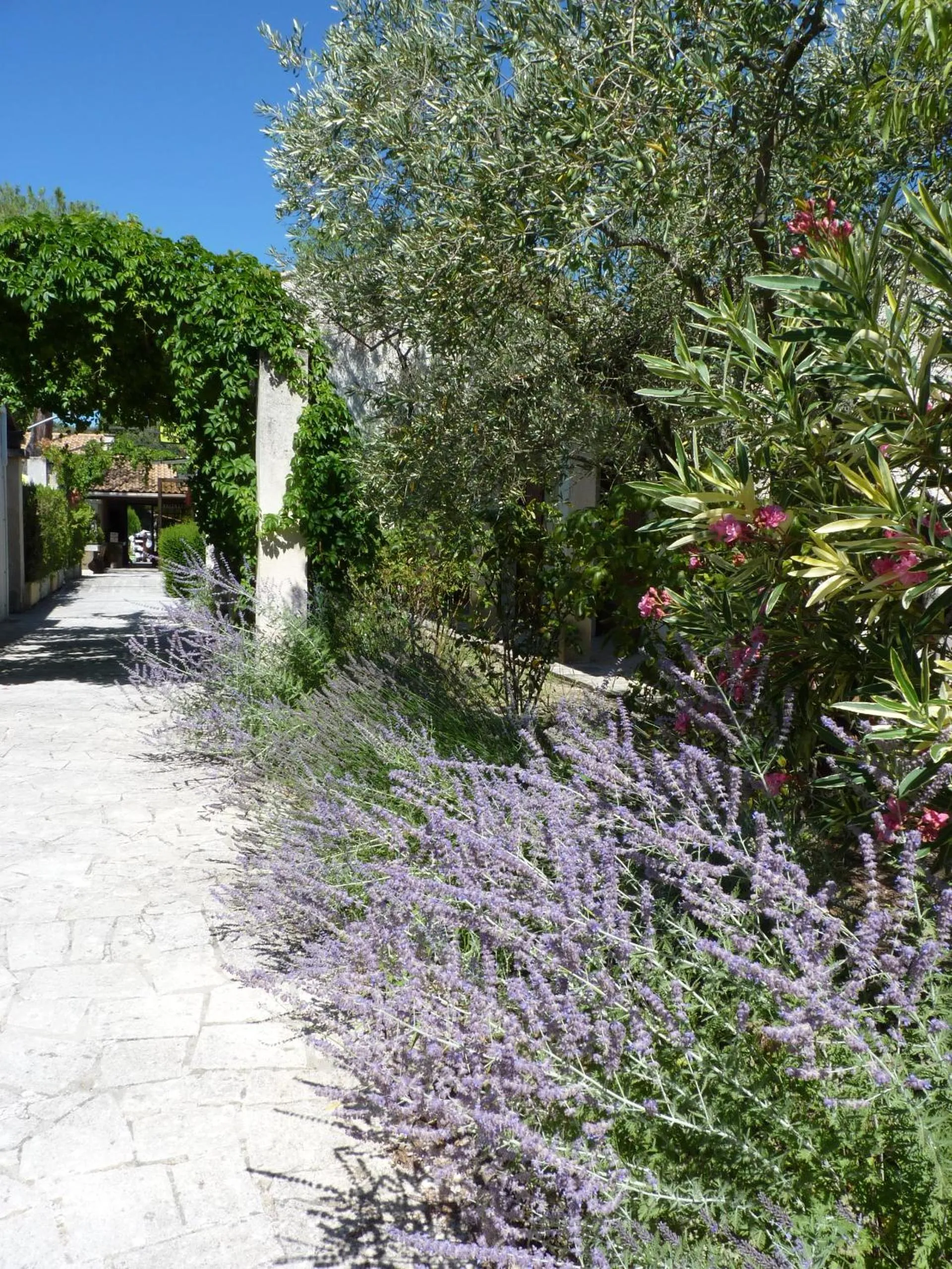 Other in Hôtel Le Mas Des Amandiers