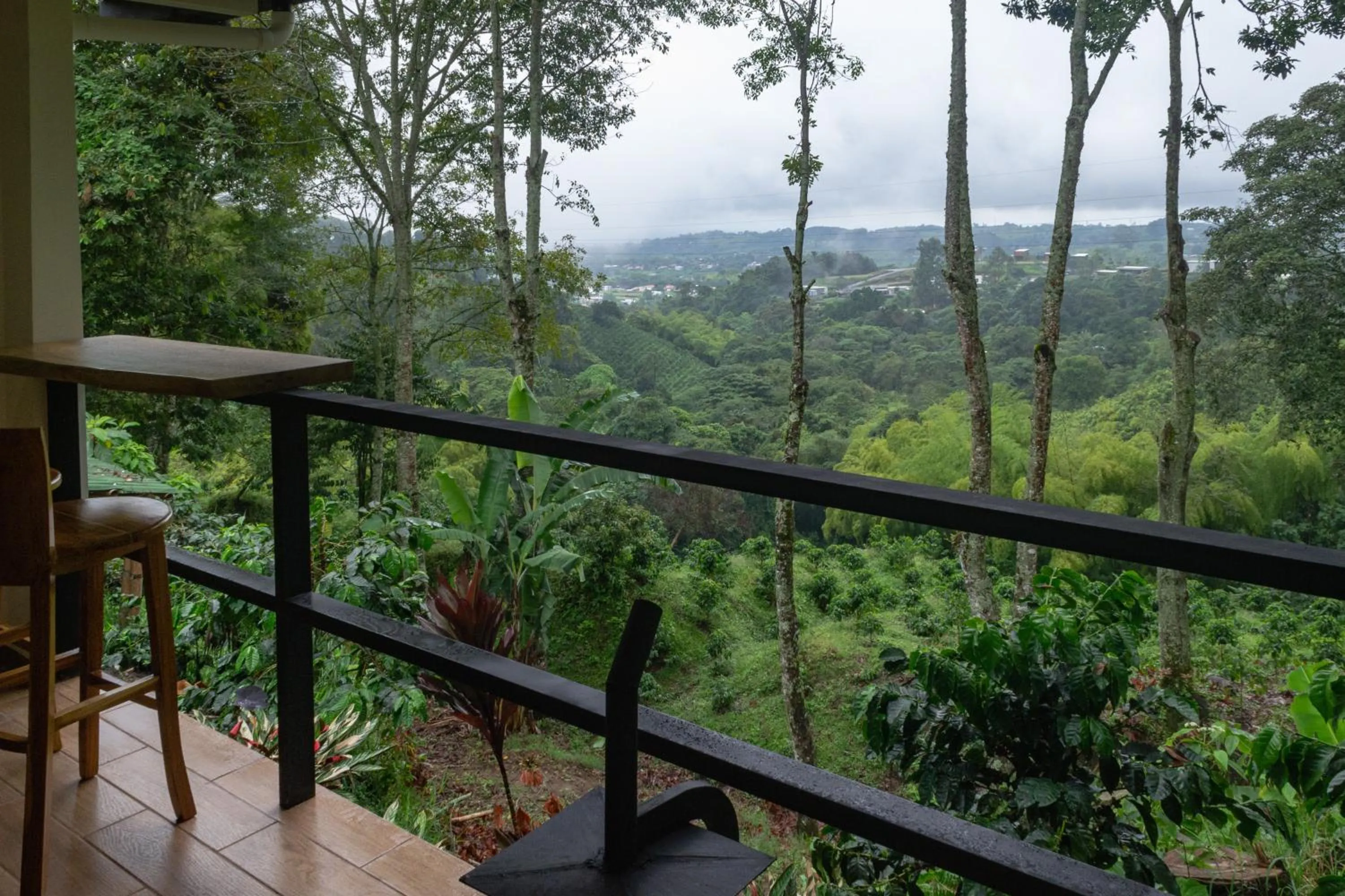 Natural landscape in El Edén Country hotel y Club Residencial