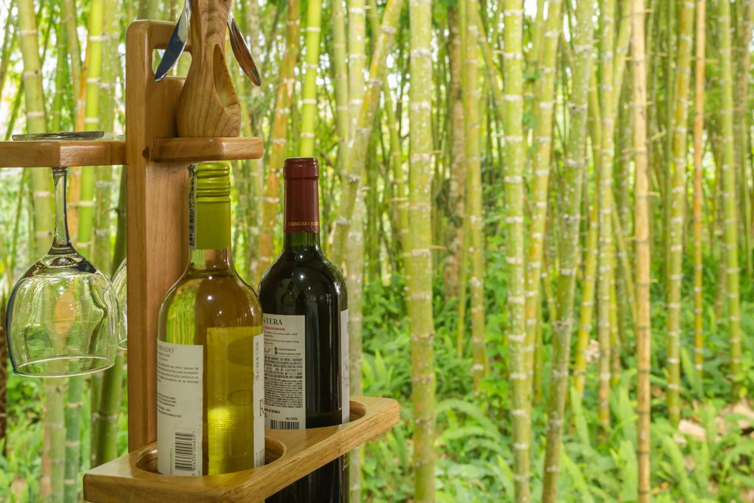 Natural landscape in El Edén Country hotel y Club Residencial