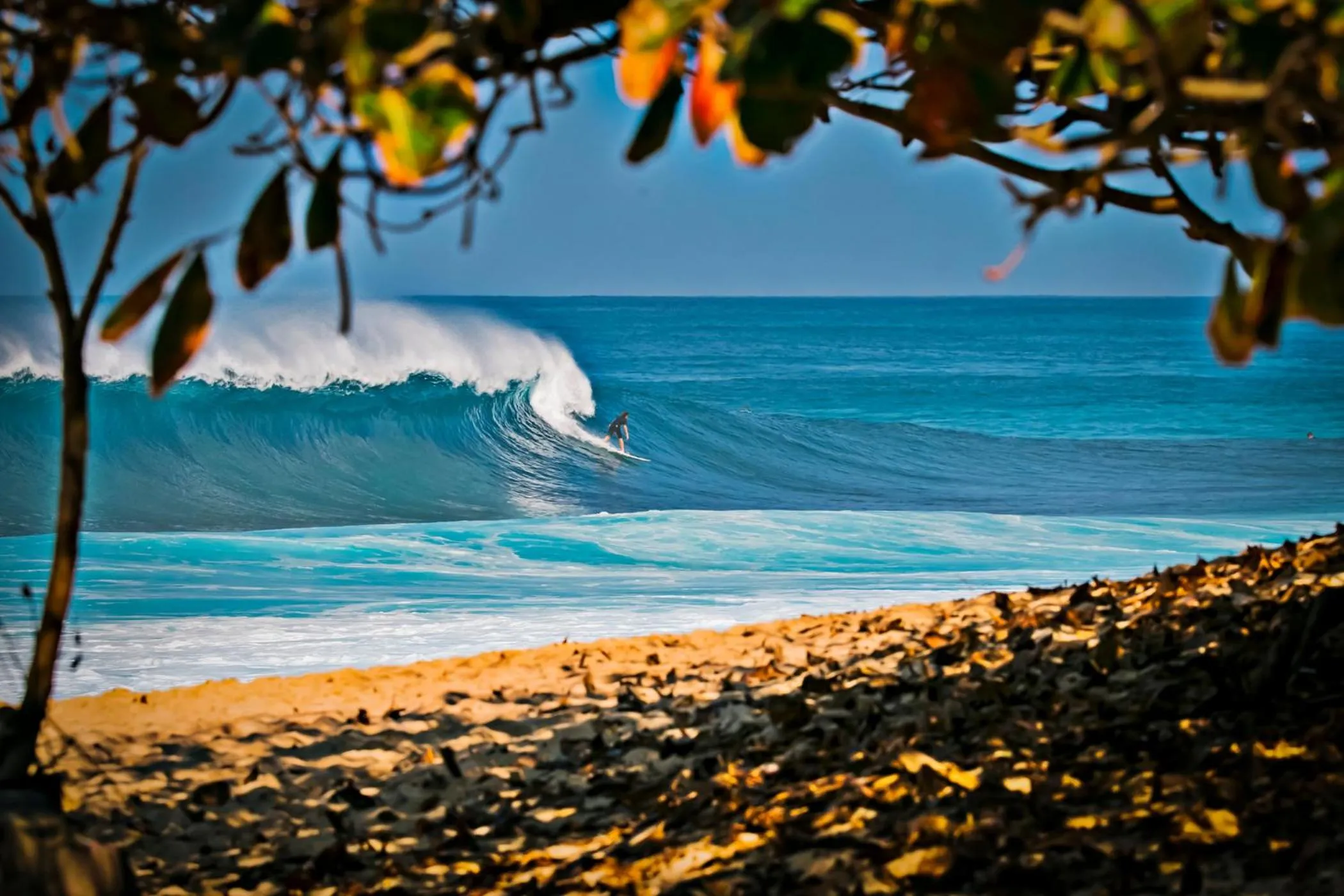 Activities in Diamond Head & Ocean View Gem Near Waikiki Beach, Parking's On Us