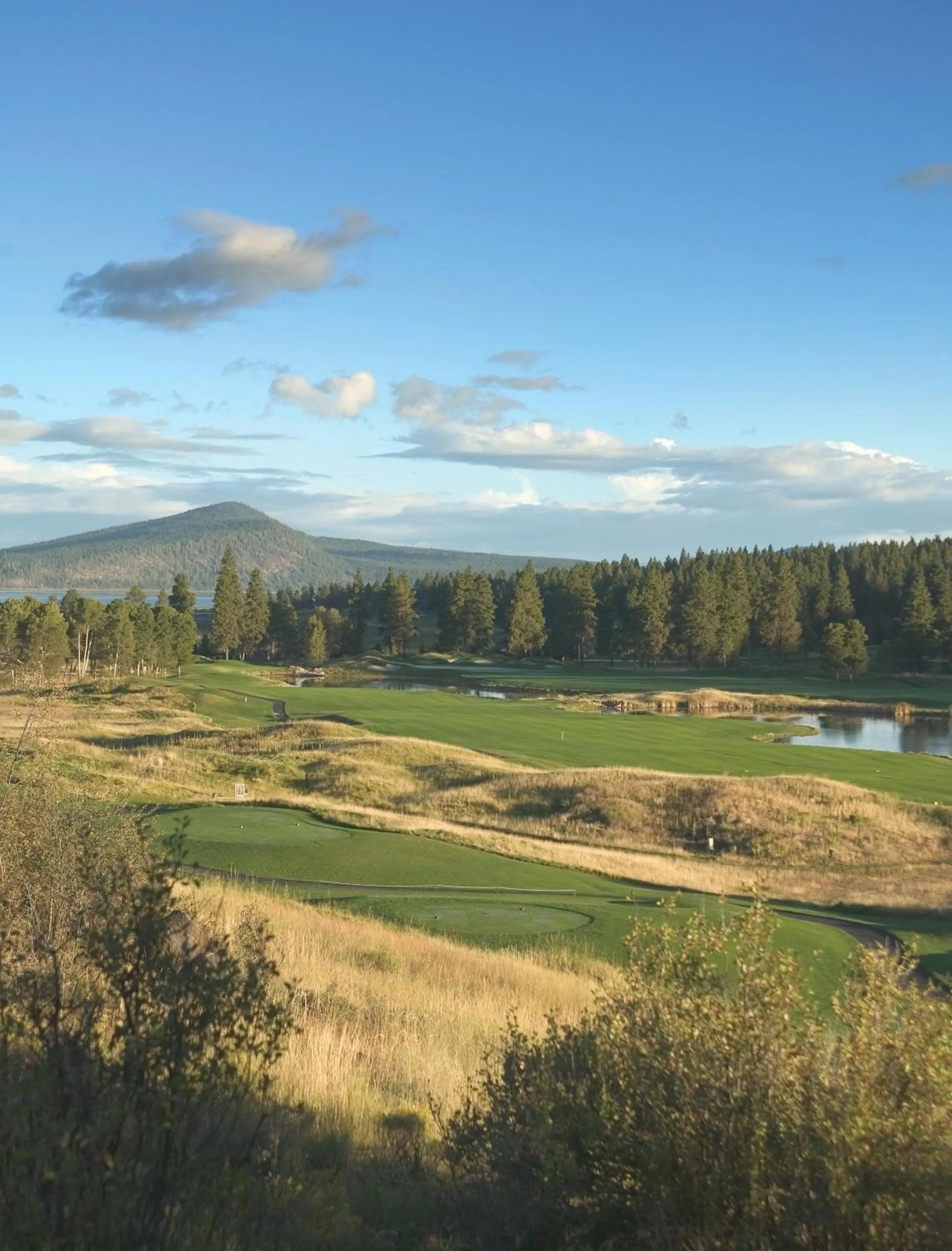 Other in WorldMark Running Y