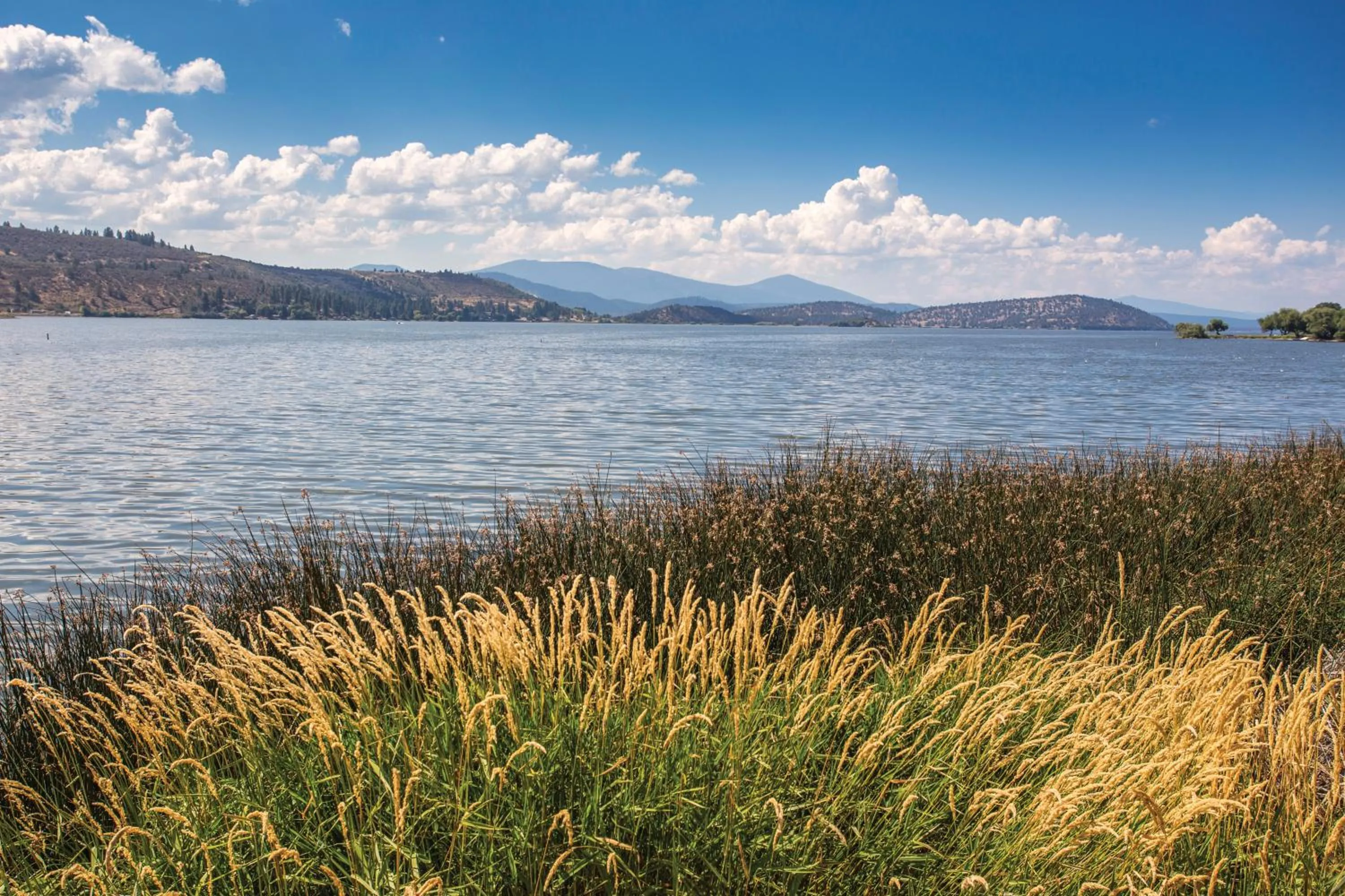 Lake view in WorldMark Running Y